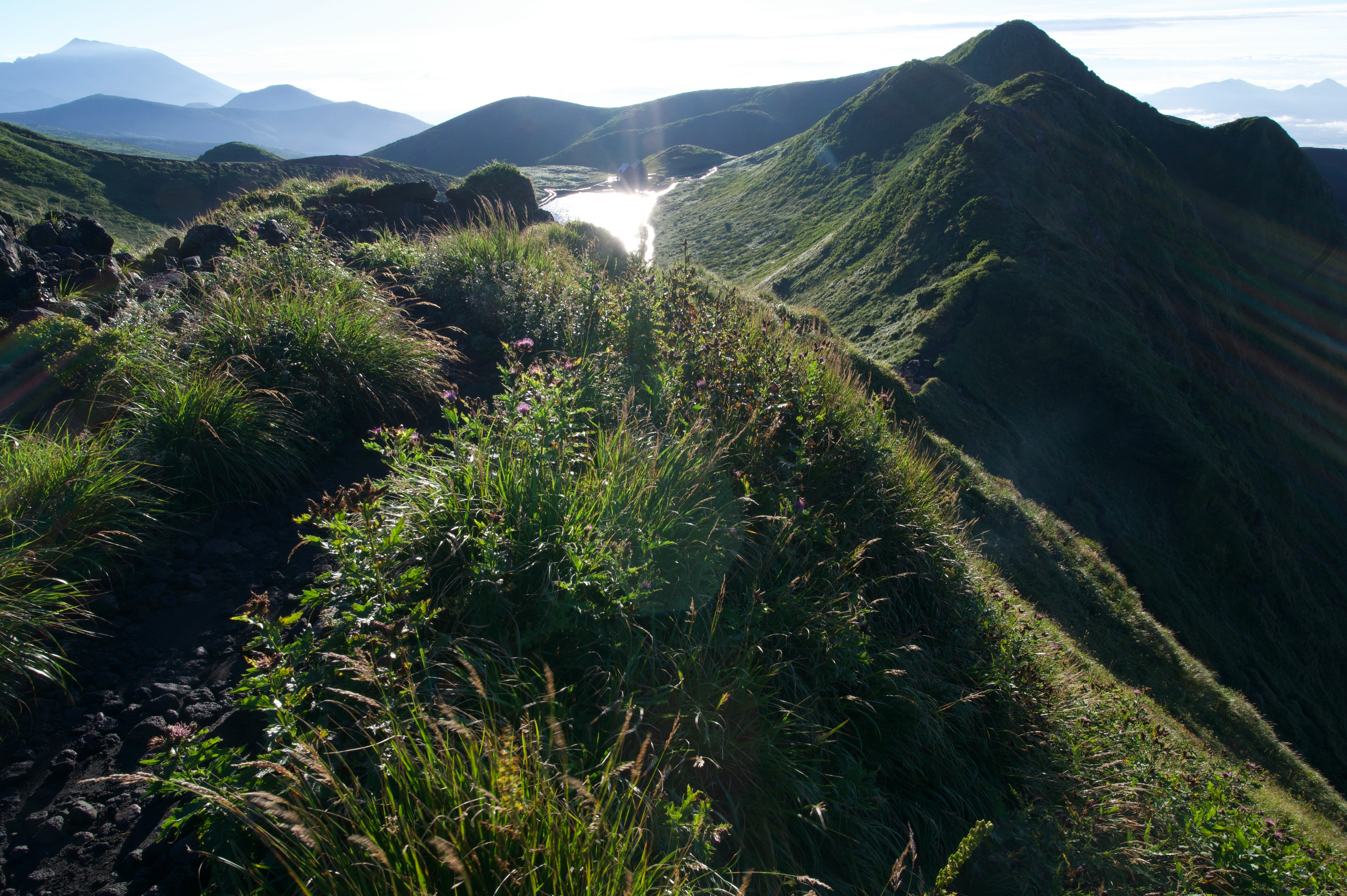 草に覆われた稜線と遠くの山並みが続く山道の風景