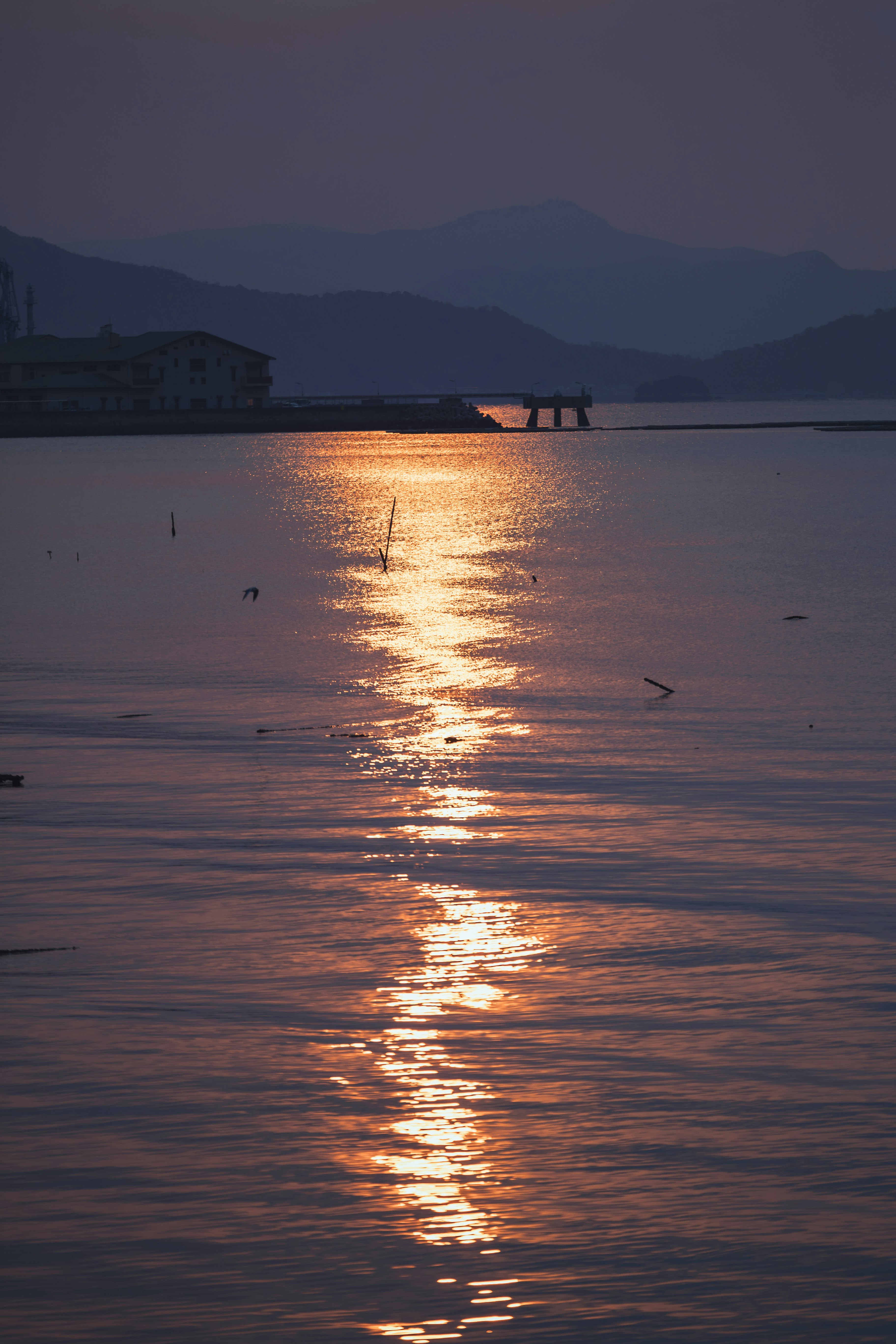 夕暮れの湖畔に伸びる光の反射と遠景の橋