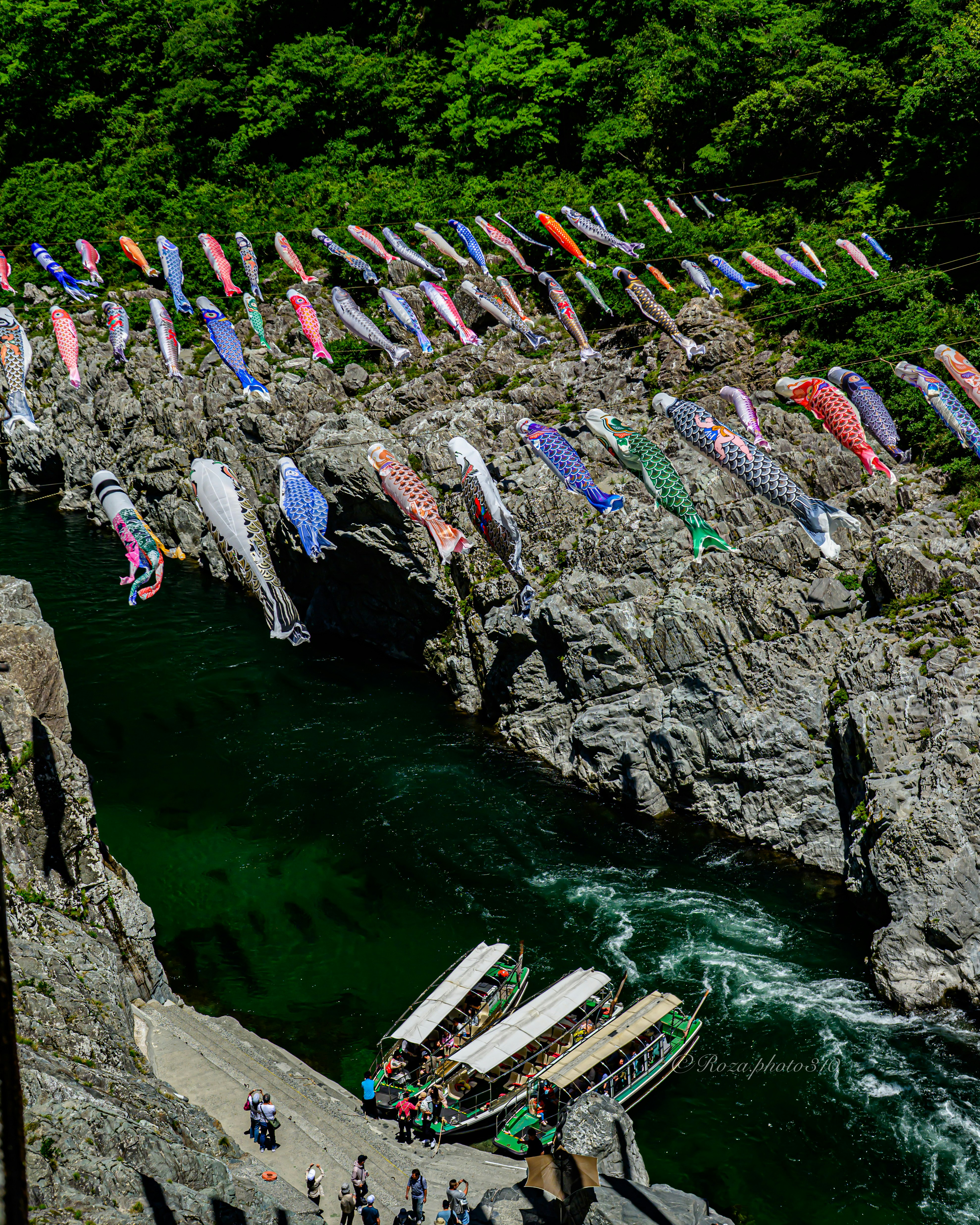 大歩危峡の川沿いに泳ぐ鯉のぼりと屋形船の眺め