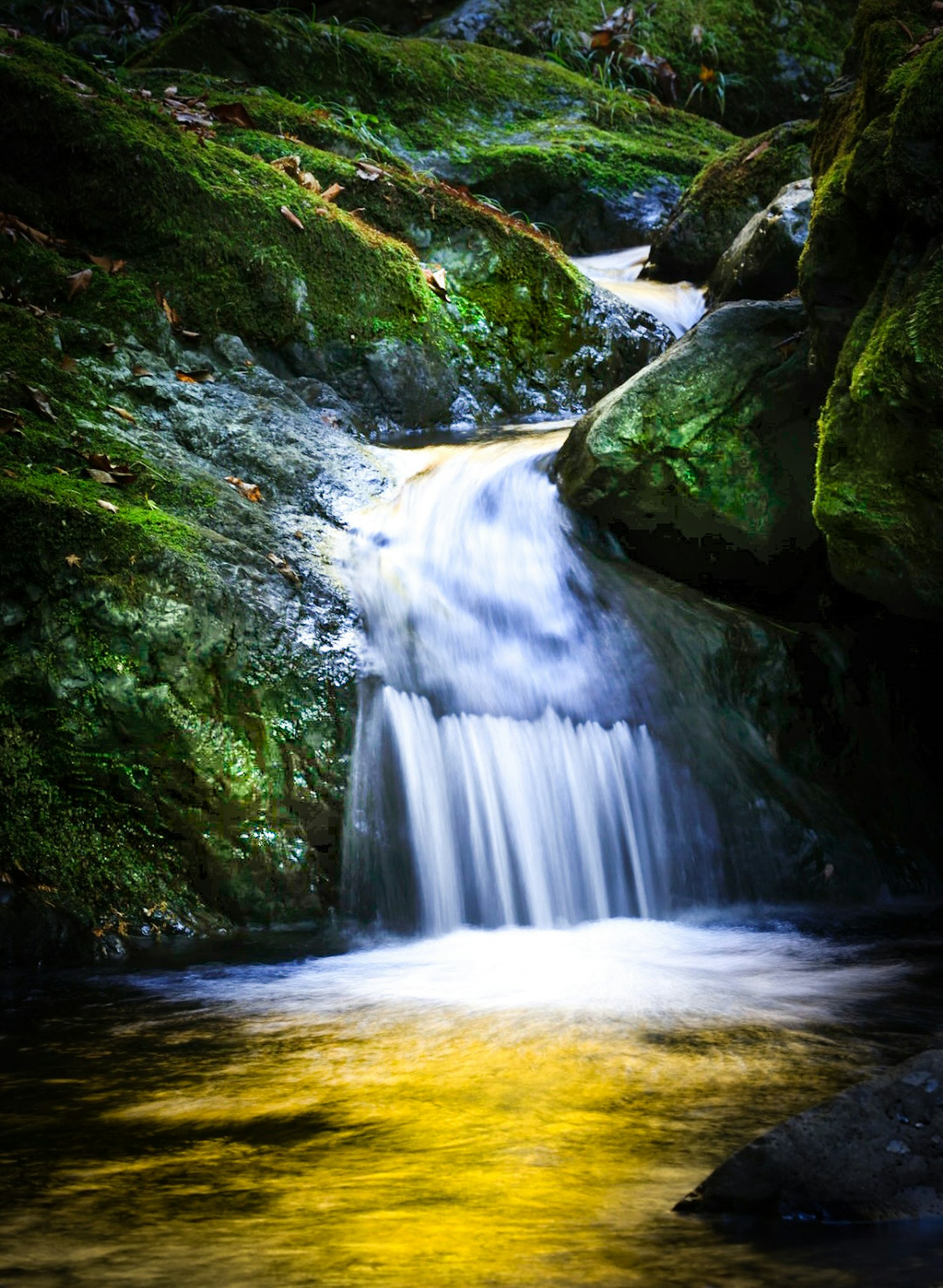 Une cascade sereine descendant des rochers recouverts de mousse avec un bassin doré réfléchissant