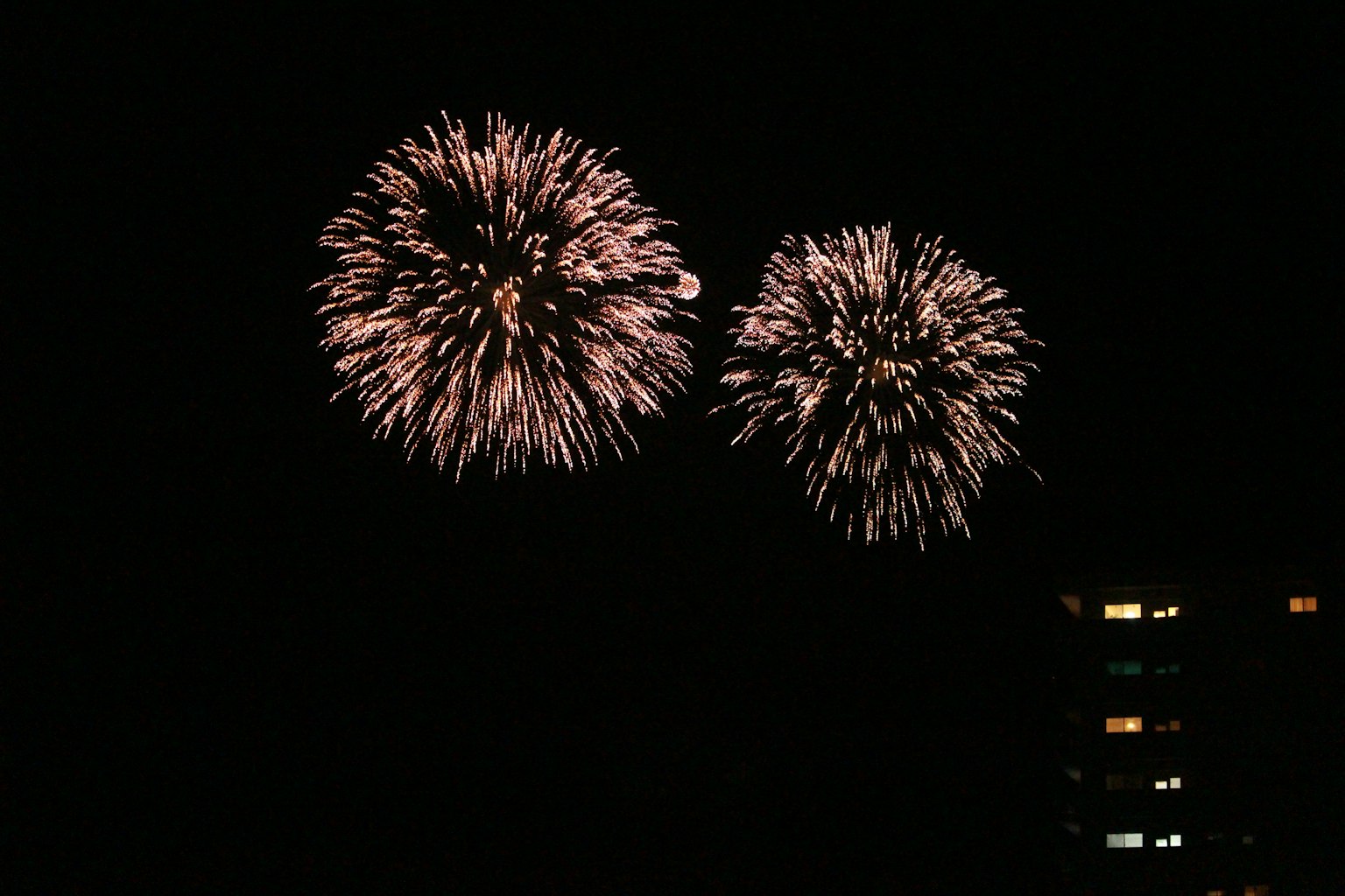 Two large fireworks bursting in the night sky