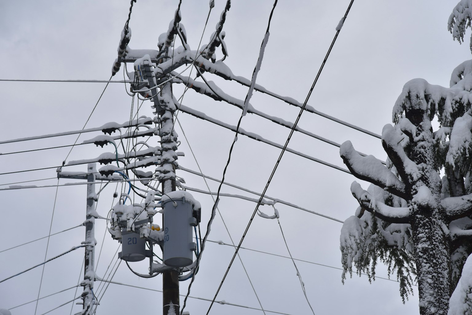 被雪覆蓋的電線和電杆的冬季場景