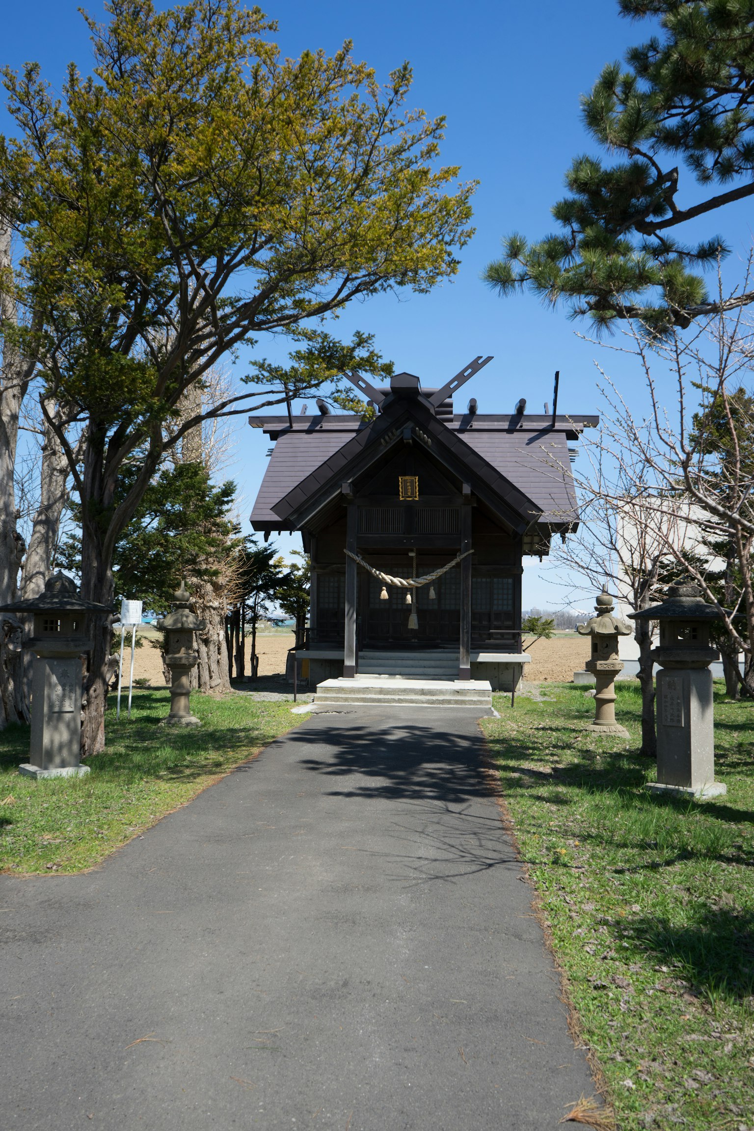一个宁静的神社建筑周围被绿色植物环绕，树木和石灯笼沿着小路排列