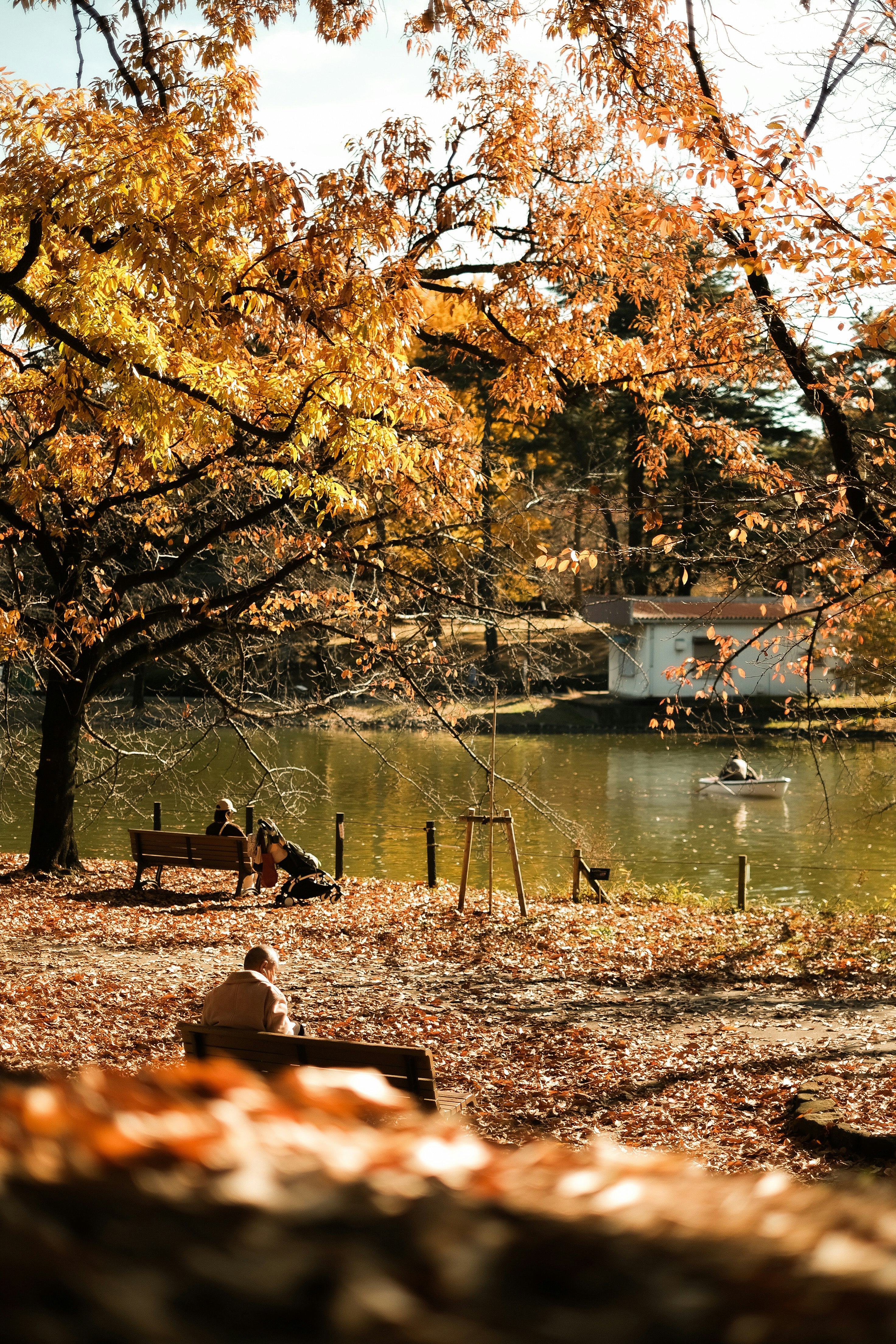 Herbstlaub an einem Teich mit Menschen auf Bänken