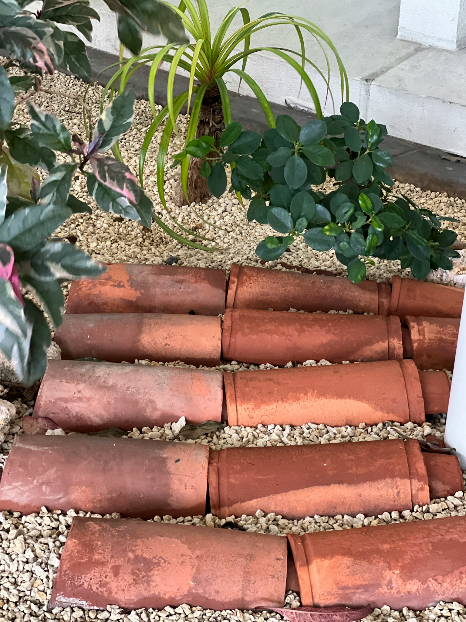Terrakottaziegel, die einen Weg in einem Garten mit Kies und umliegenden Pflanzen bilden