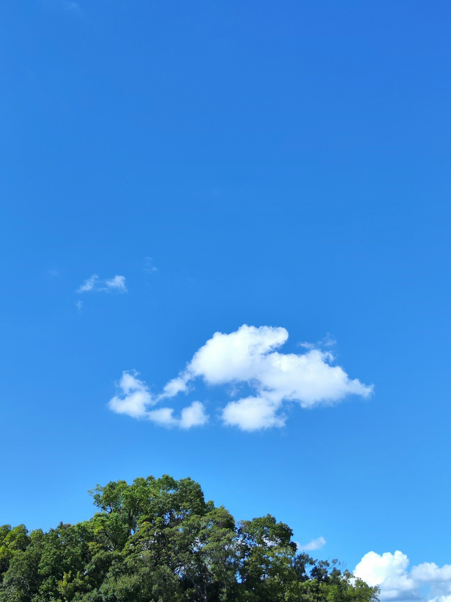 Nube blanca flotando en un cielo azul claro con árboles verdes abajo