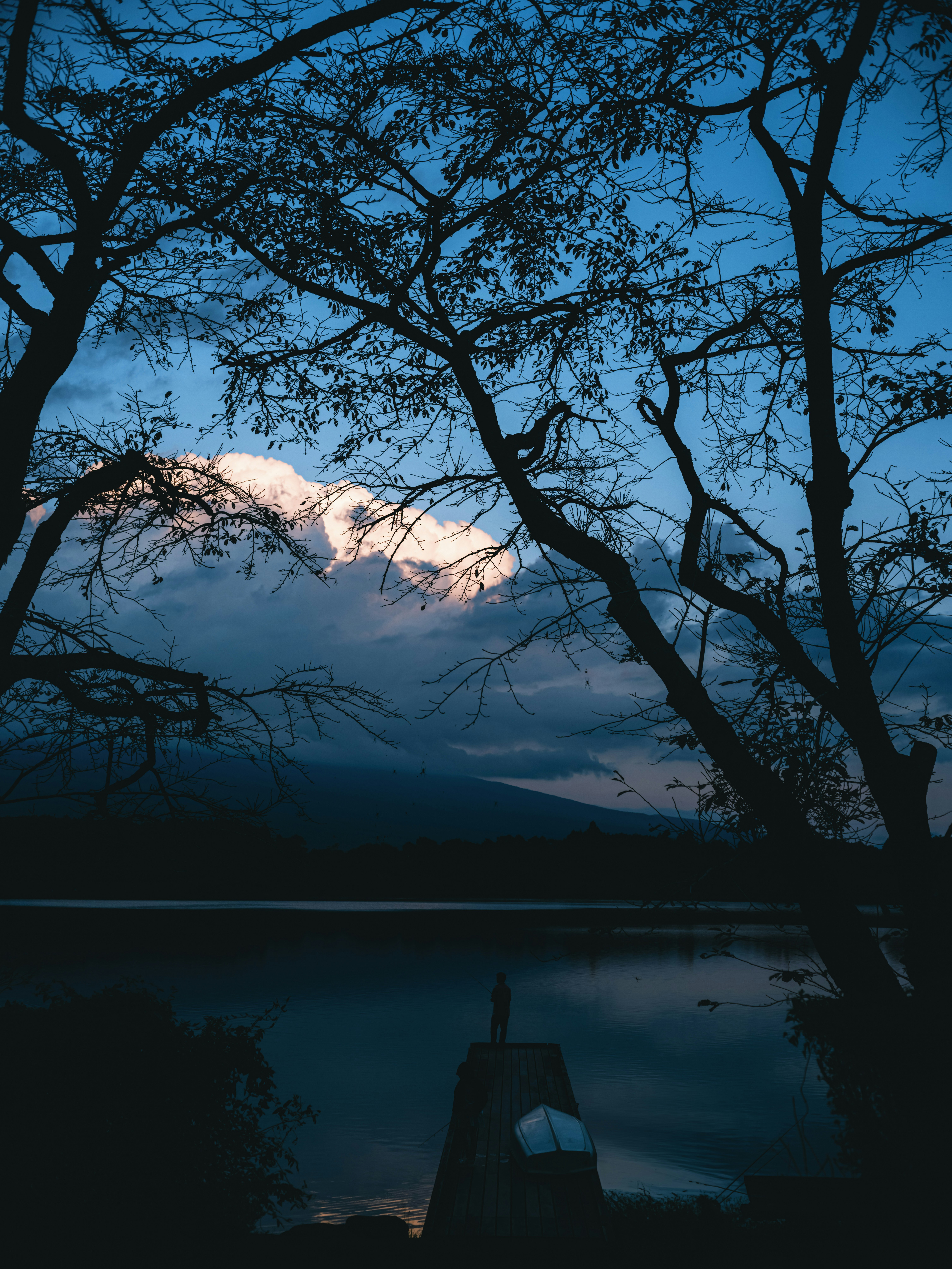 photo-2qLBVTLHQe12C1mrKuGD-image