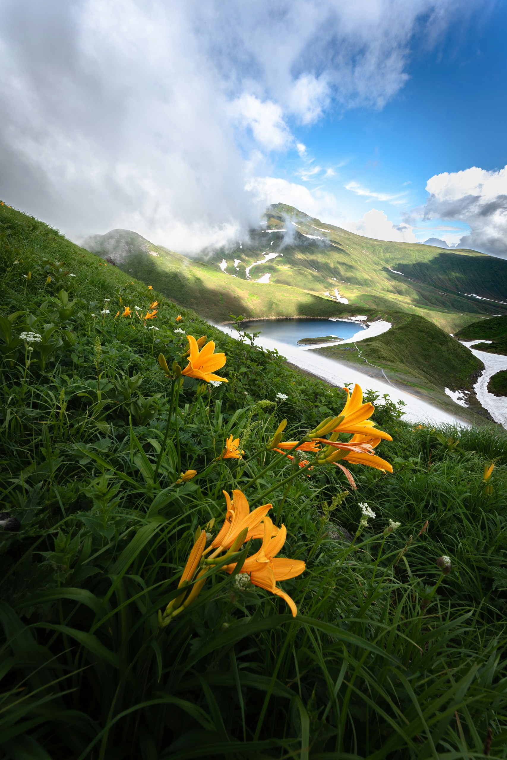 草原の花と川が流れる山あいの風景