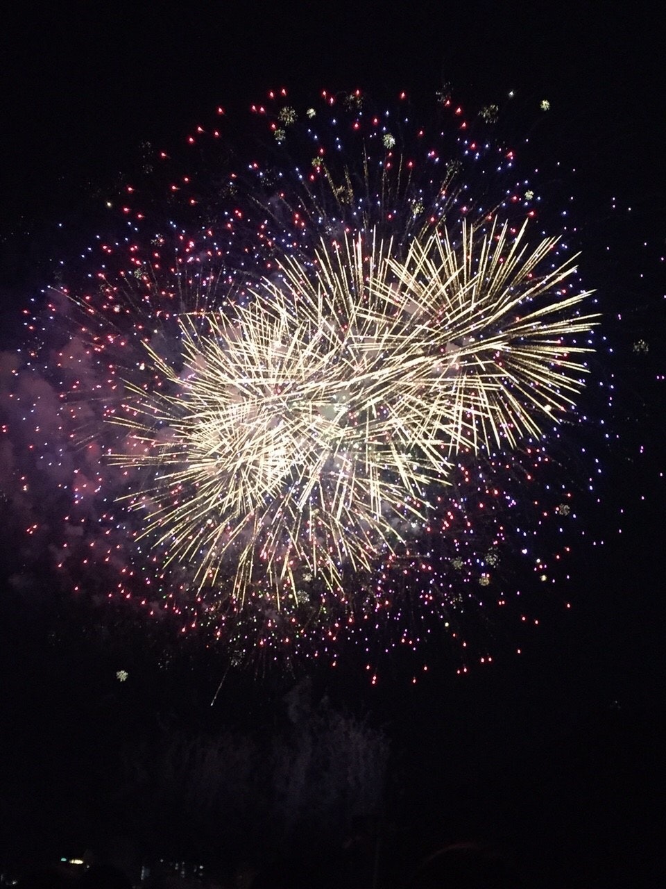 grandi fuochi d’artificio nel cielo notturno