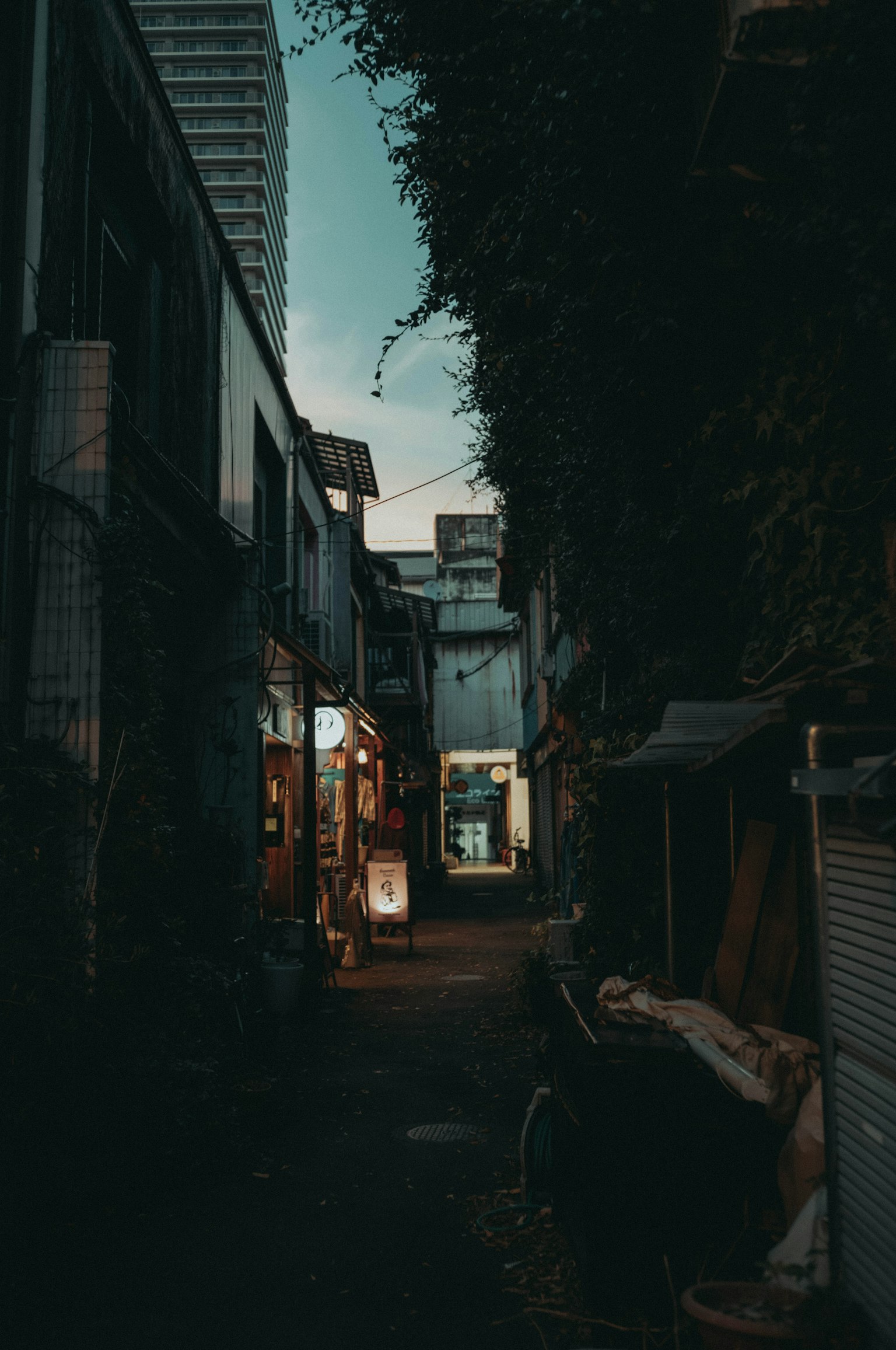 Allée faiblement éclairée avec des lumières éparpillées