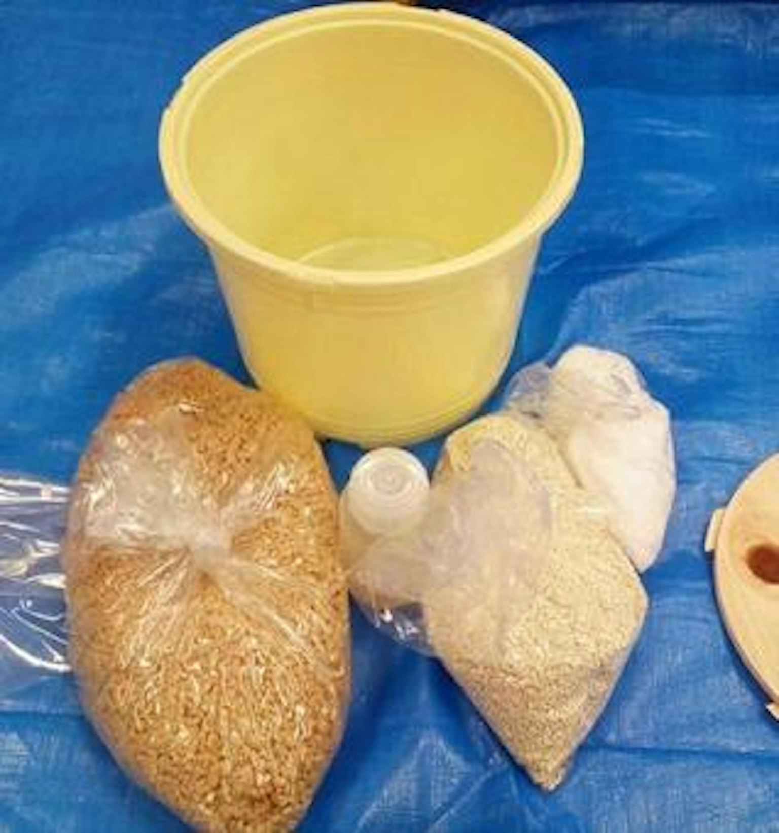 Seau jaune avec divers sacs de grains posés sur une bâche bleue