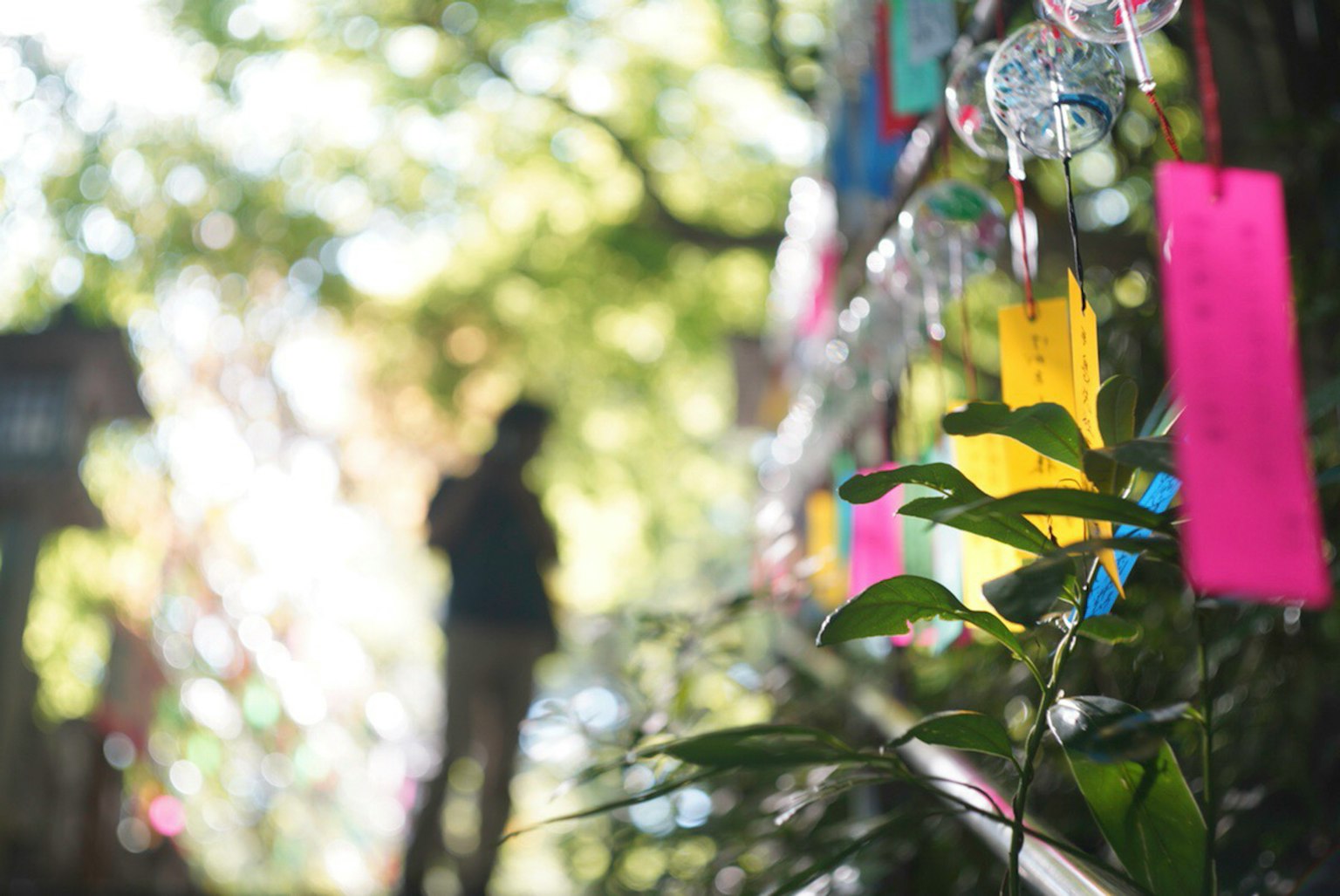 Silueta de una persona de pie frente a tiras de papel coloridas colgadas de un árbol