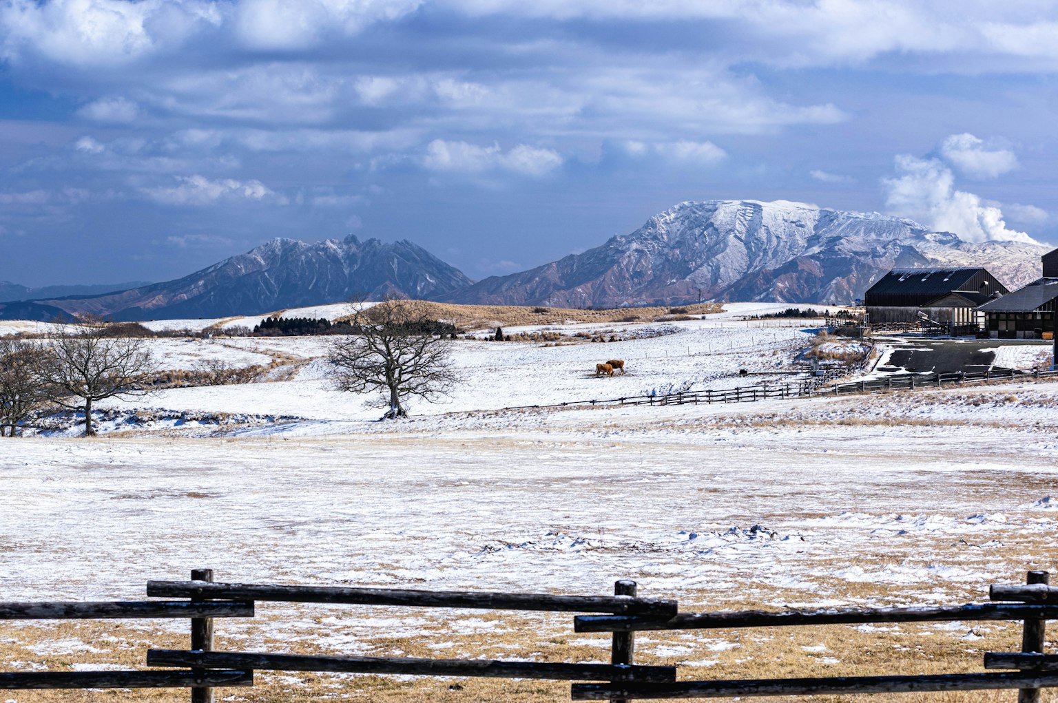 Vaste paysage enneigé avec des montagnes et une clôture en bois