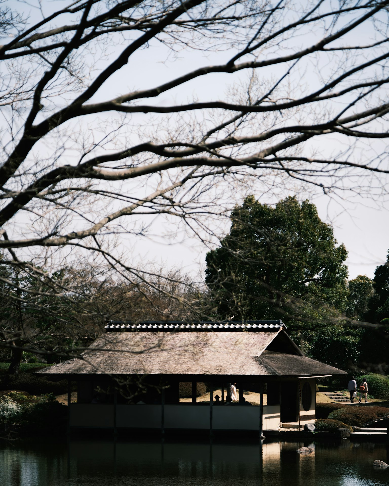 Rumah teh Jepang tradisional di tepi kolam tenang dengan ranting telanjang