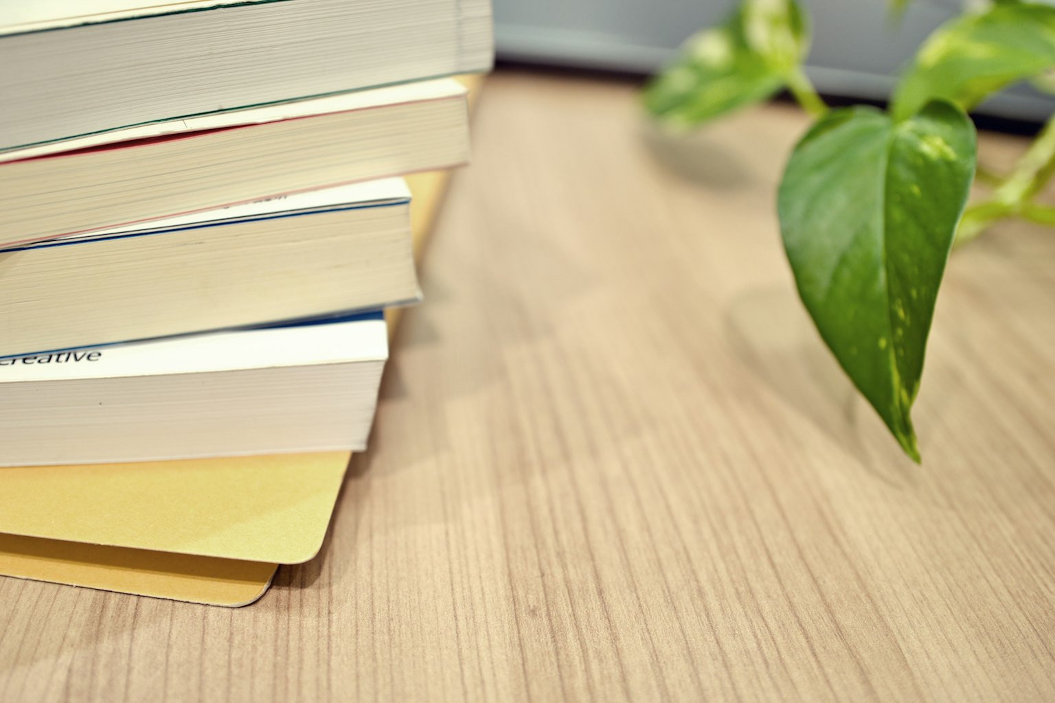 나무 테이블 위에 쌓인 책과 녹색 식물