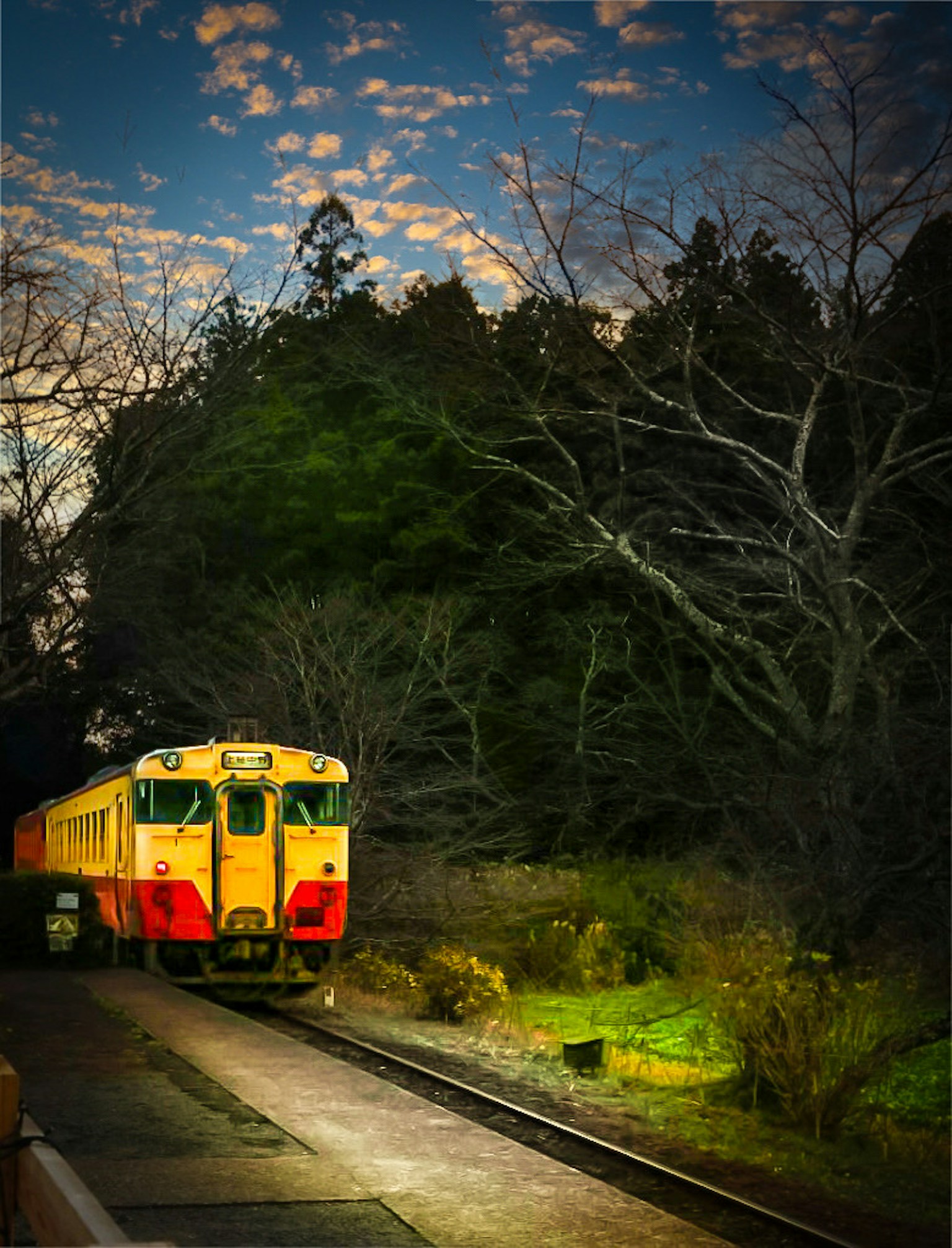 A yellow and red train parked on the tracks surrounded by green foliage at dusk