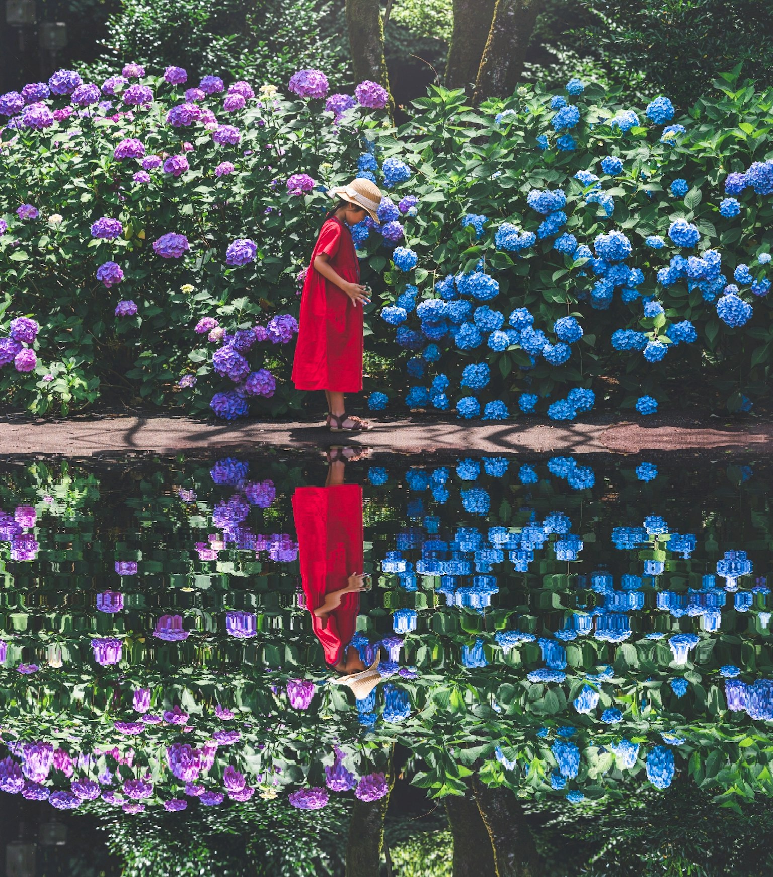 Una donna in abito rosso si trova davanti a ortensie colorate con riflessi nell'acqua