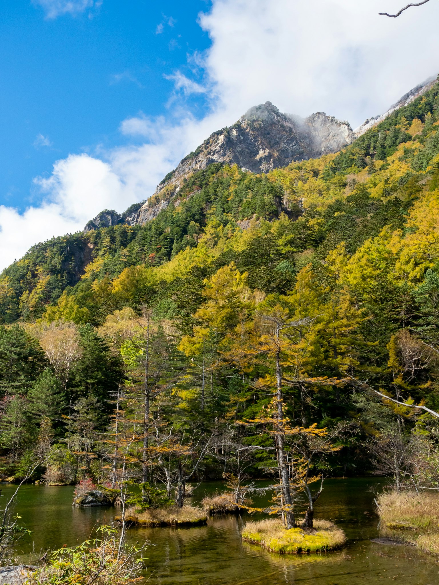 Vue pittoresque d'un lac serein avec des arbres colorés et une montagne en arrière-plan