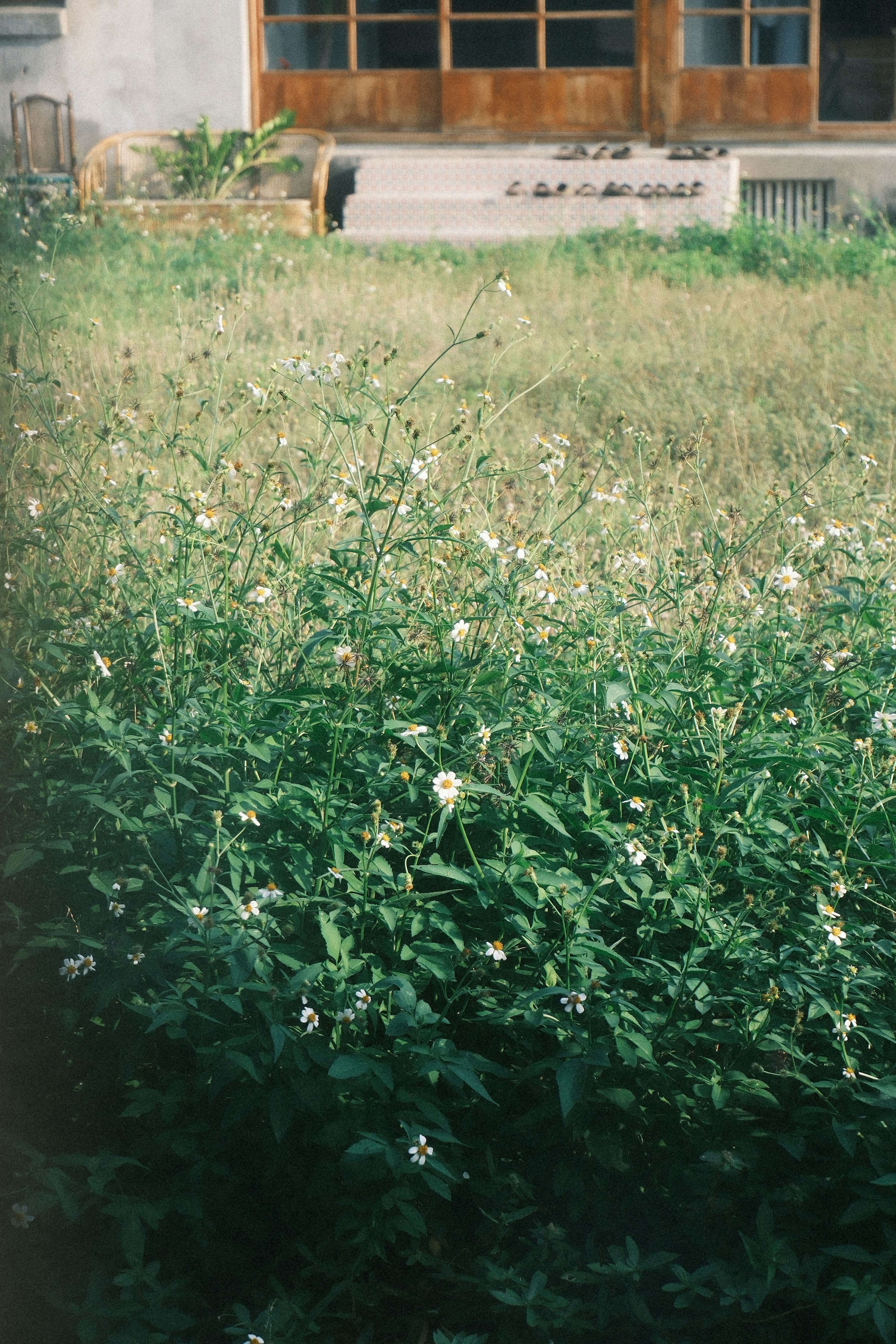 photo-2tnL0AbzNBHCbpR0SFQP-image