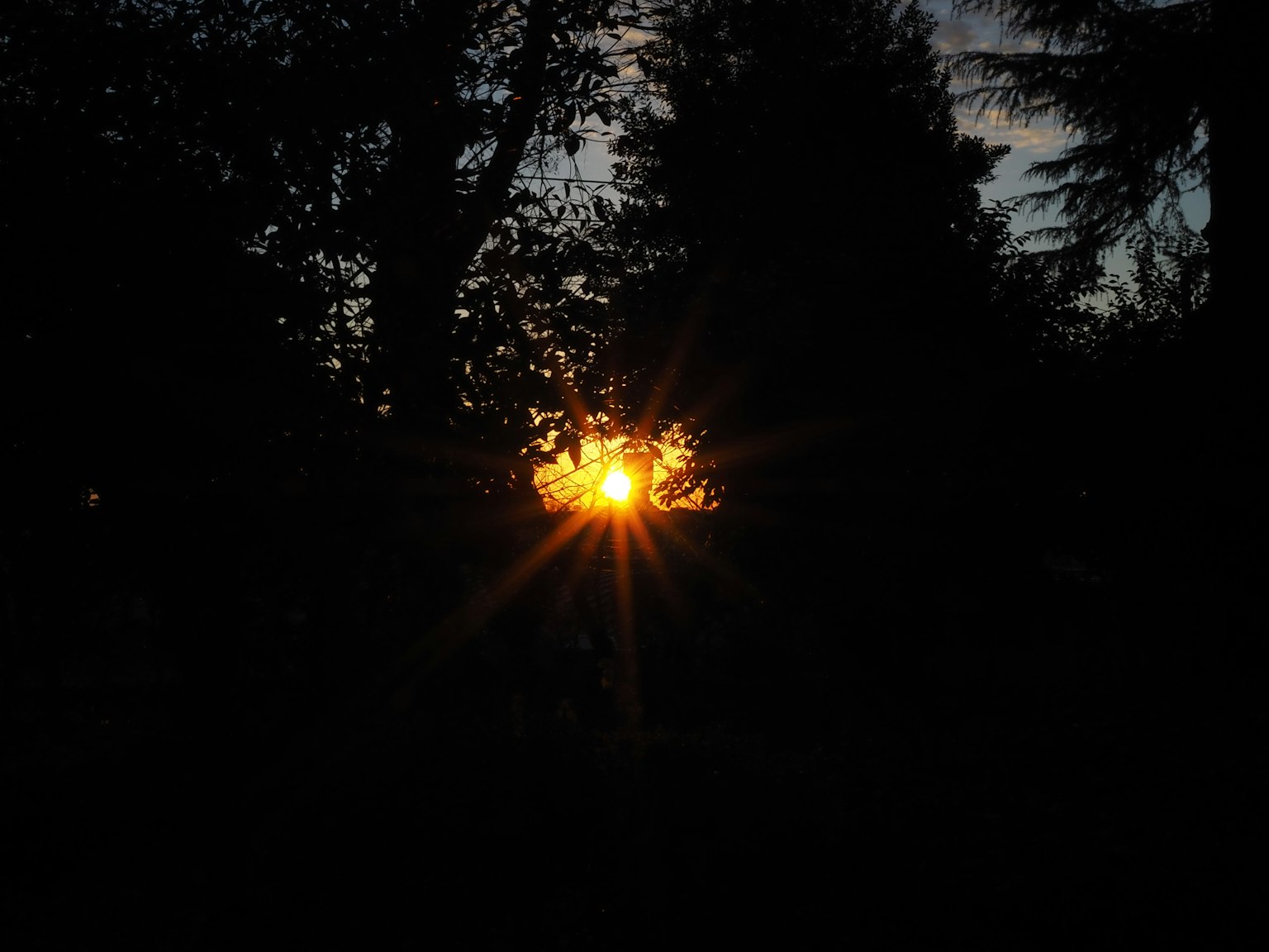 Schöne Aussicht auf den Sonnenuntergang durch die Bäume