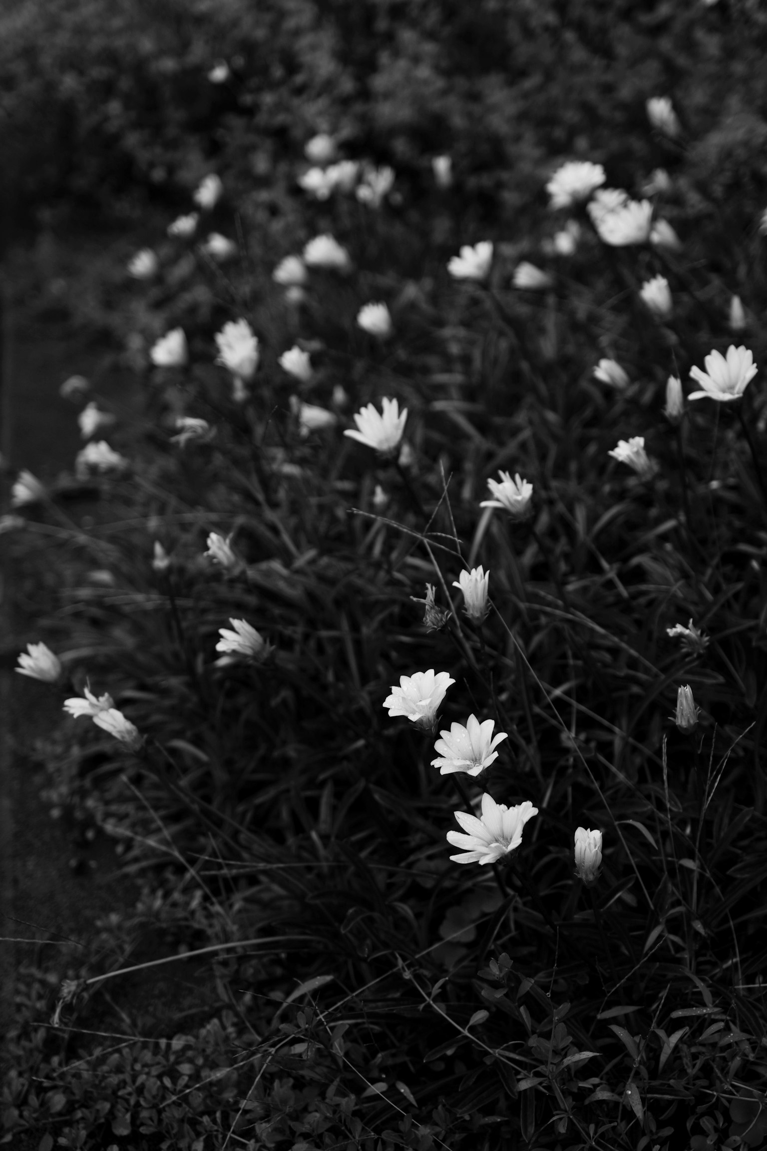 photo-2uQ5qPUOzNMuu6fnwpZq-image