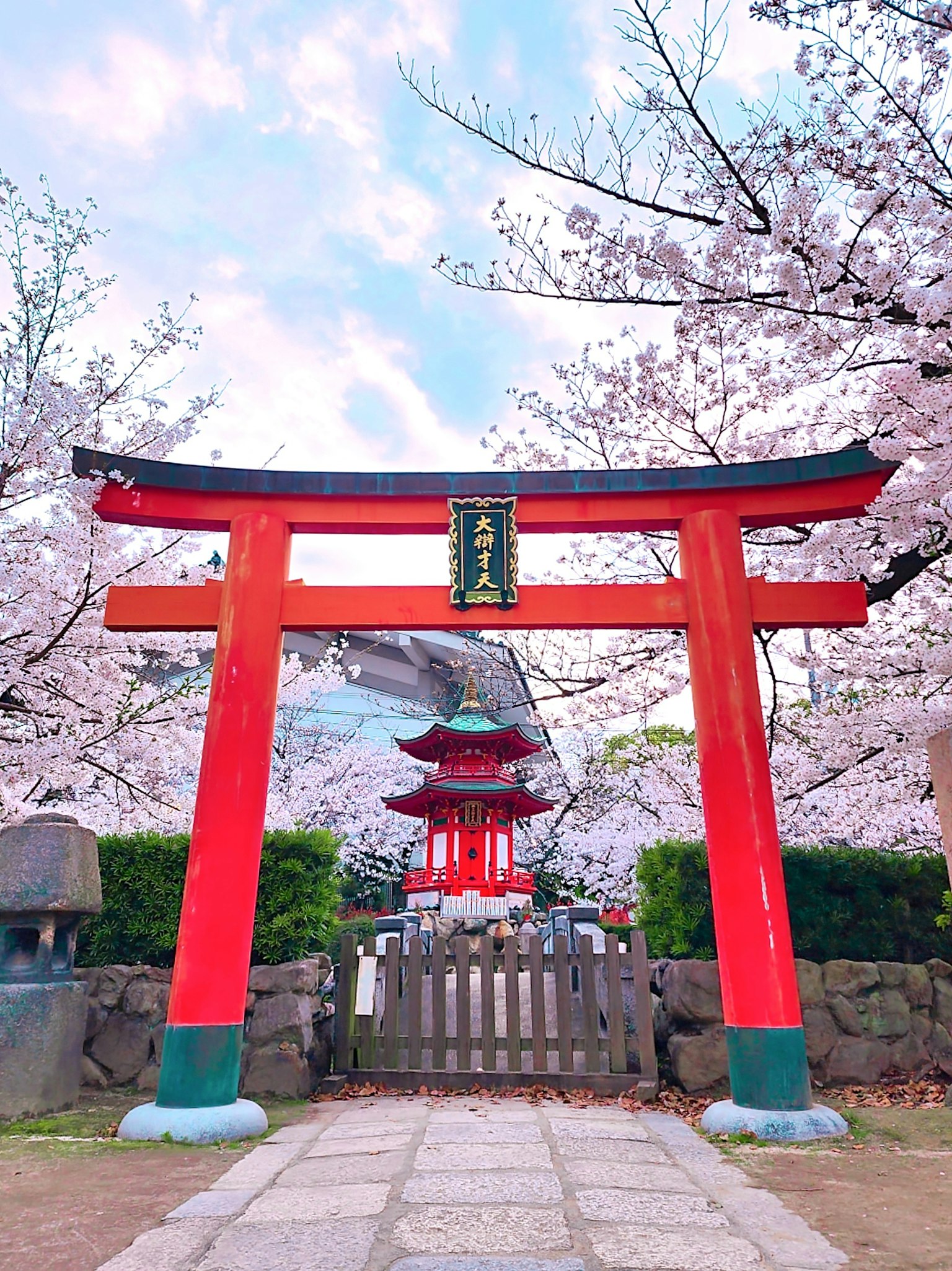 Rote Torii mit Kirschblüten und Tempel im Hintergrund