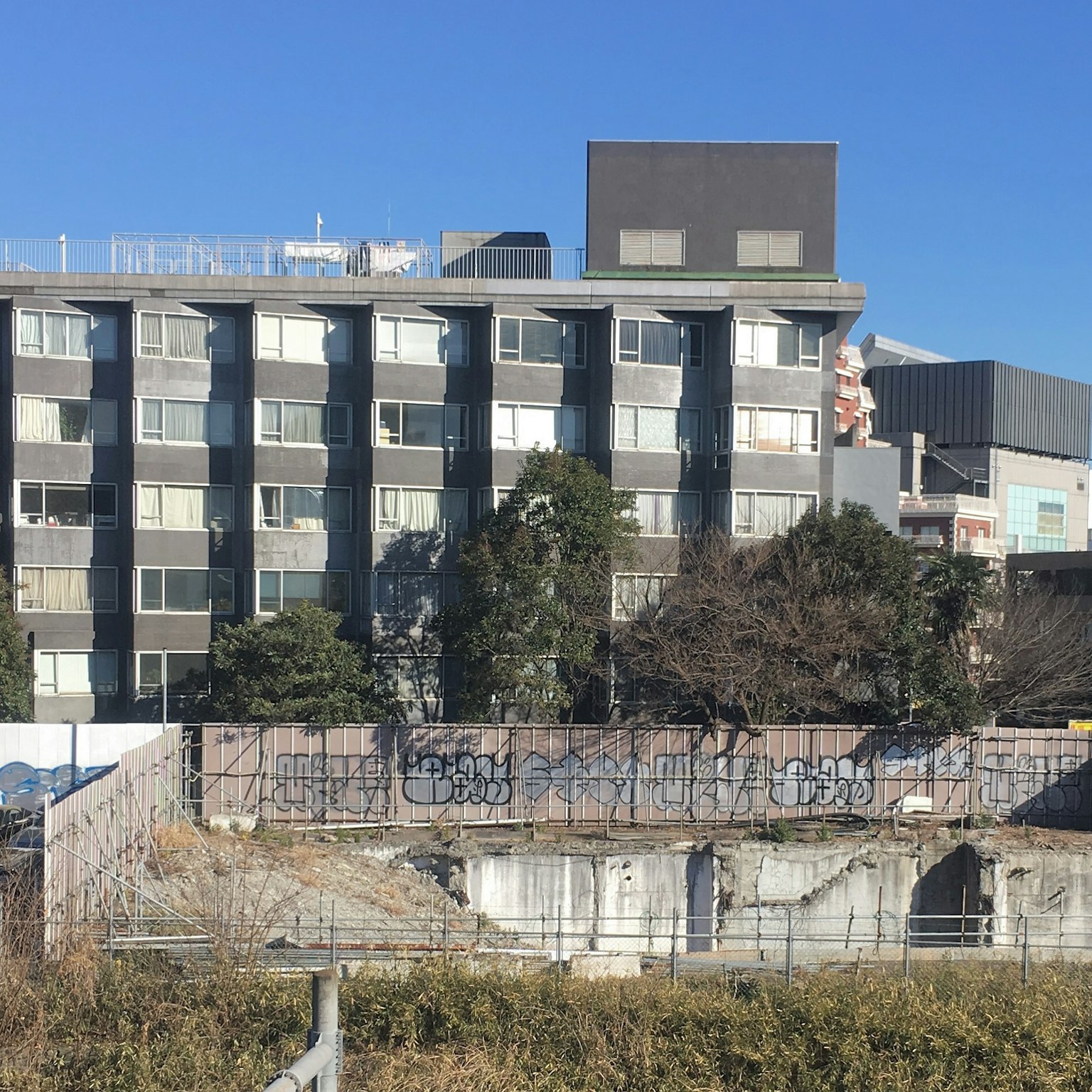 现代公寓大楼和前景中的杂草丛生区域