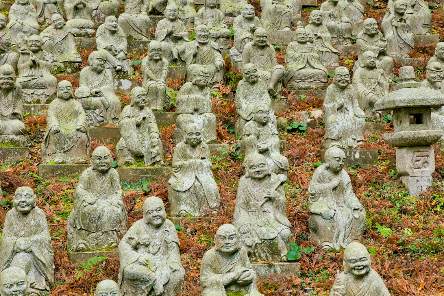 Un paysage avec des rangées de statues en pierre dans un jardin serein