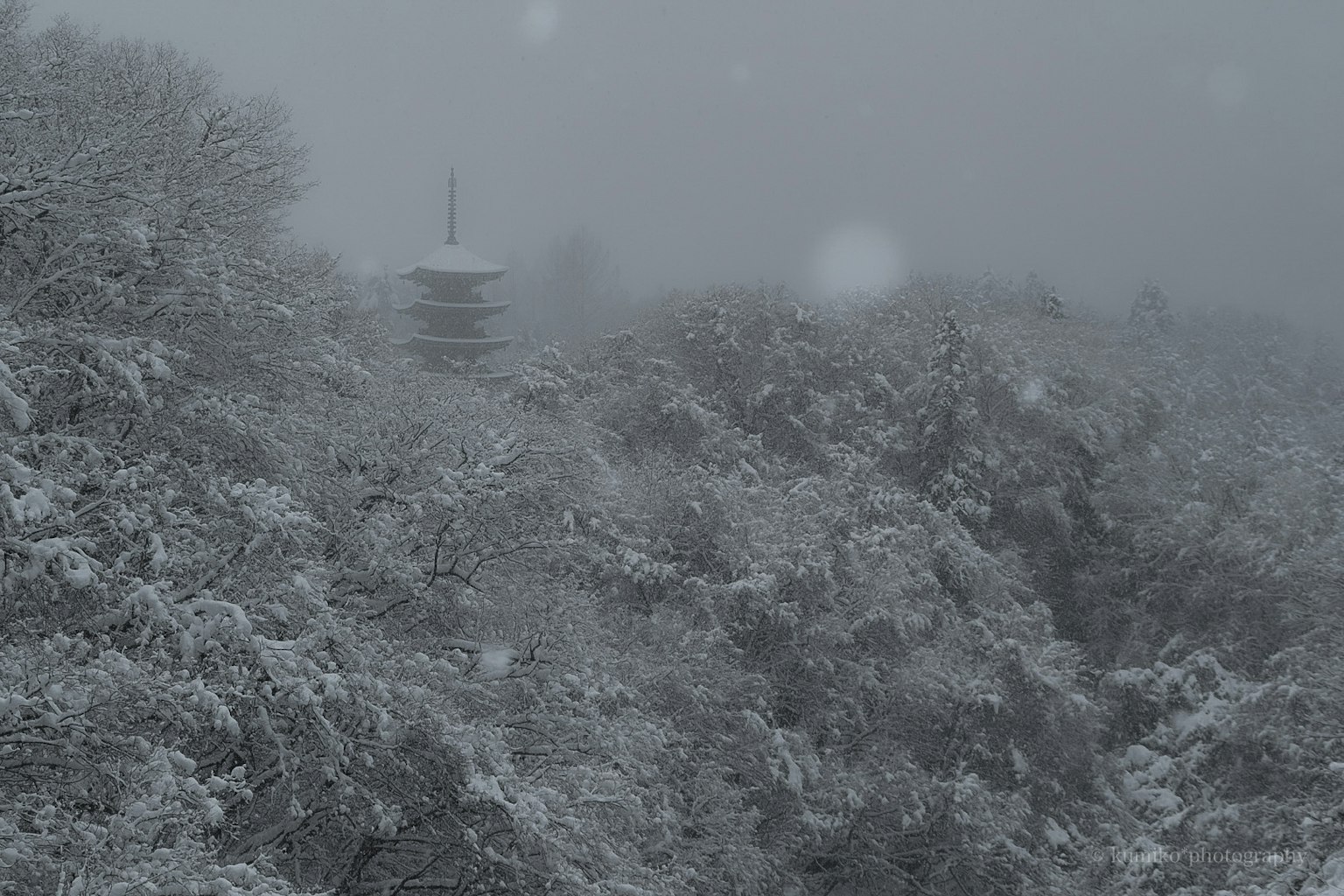 被雪覆盖的树木和雾中的塔