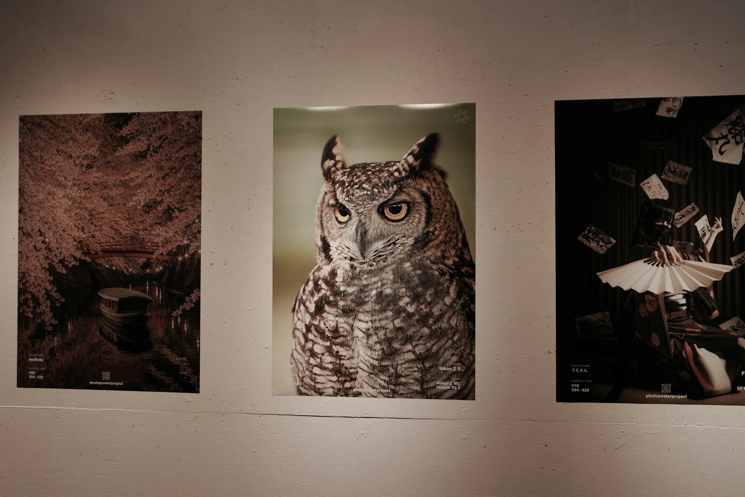 Foto di tre opere d'arte esposte su un muro A sinistra un paesaggio simile a una caverna Al centro un primo piano di un gufo A destra vari oggetti disposti artisticamente