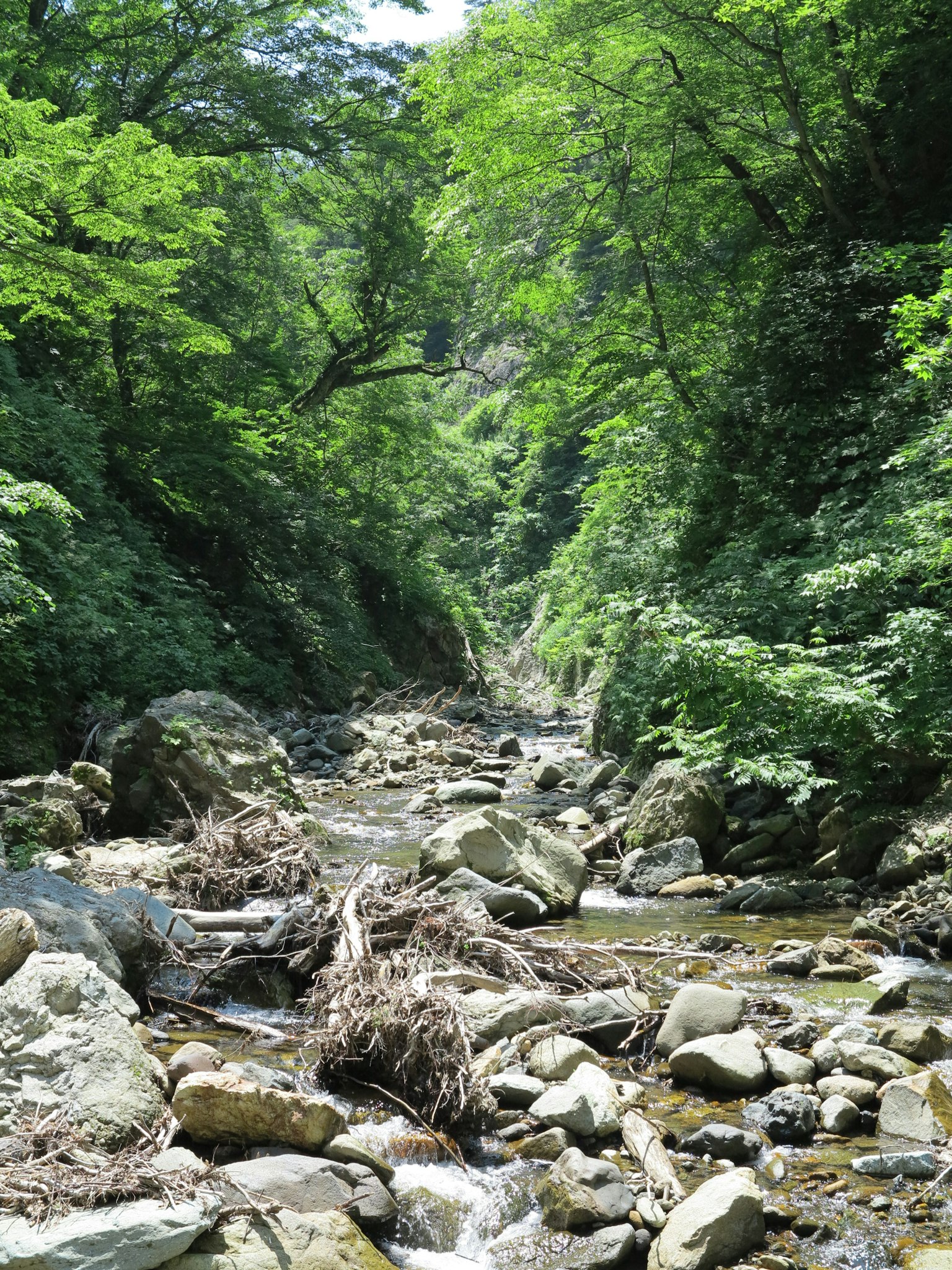 Un arroyo sereno fluyendo a través de un valle verde