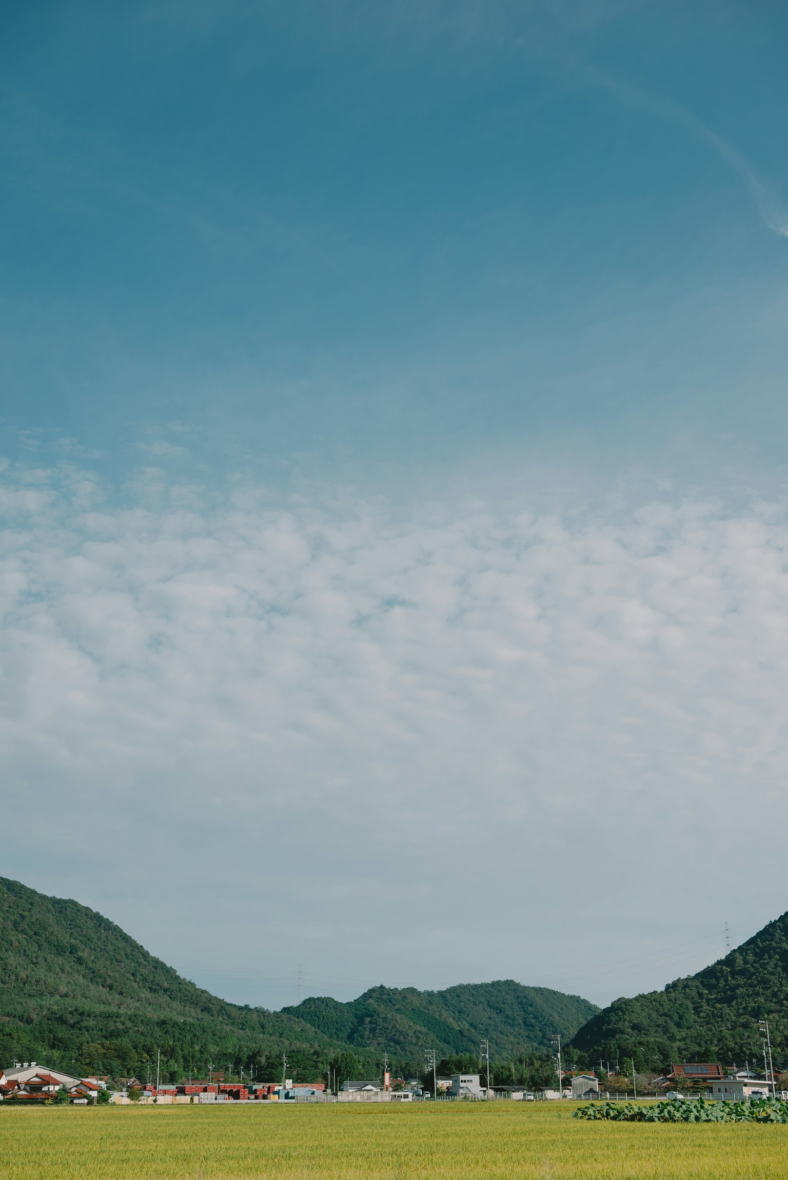 Paesaggio con cielo blu e nuvole montagne verdi e campi di riso