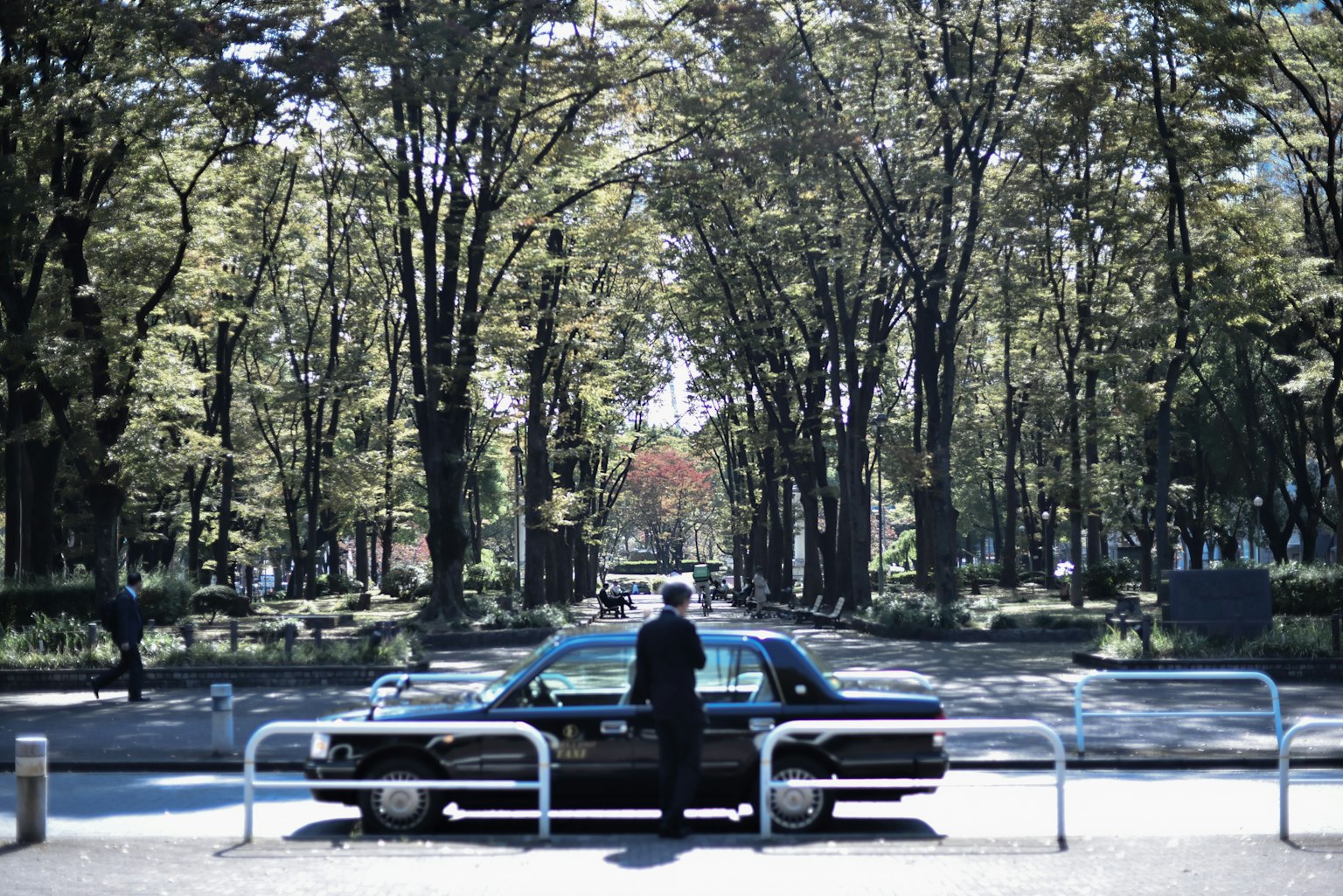 一个男人站在黑色汽车前面，周围是绿色树木的宽阔街道