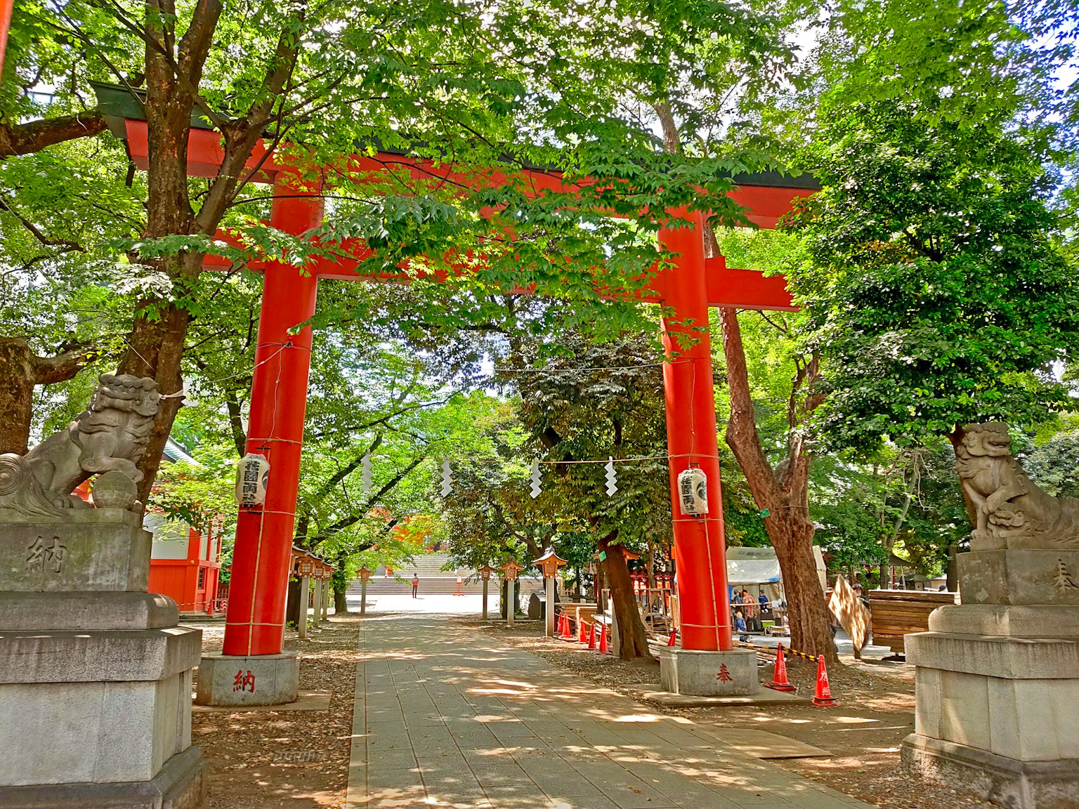 Cổng torii màu đỏ bao quanh bởi những cây xanh tươi tốt tại lối vào đền thờ