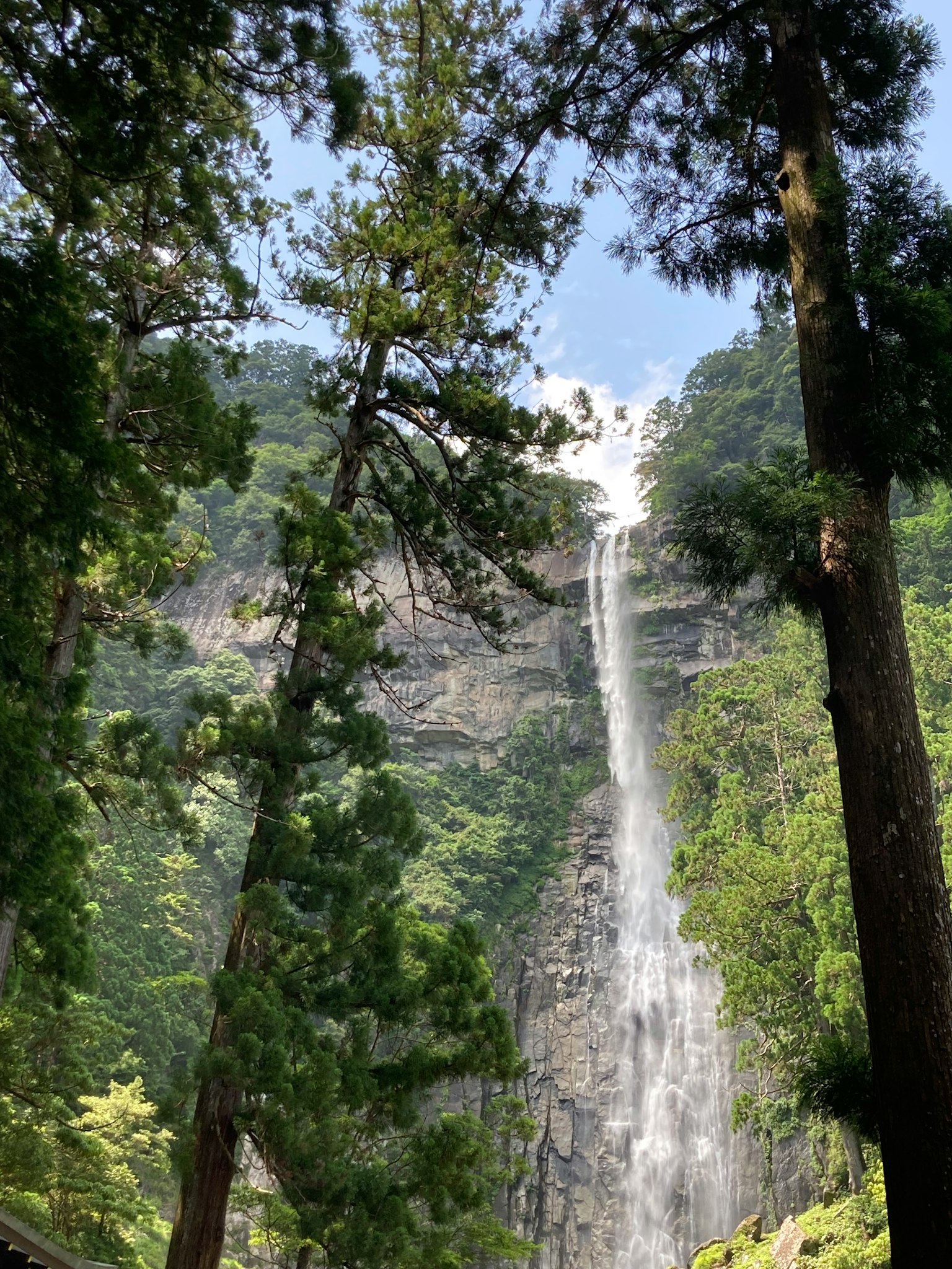 Scenic view of a waterfall surrounded by tall trees and lush greenery