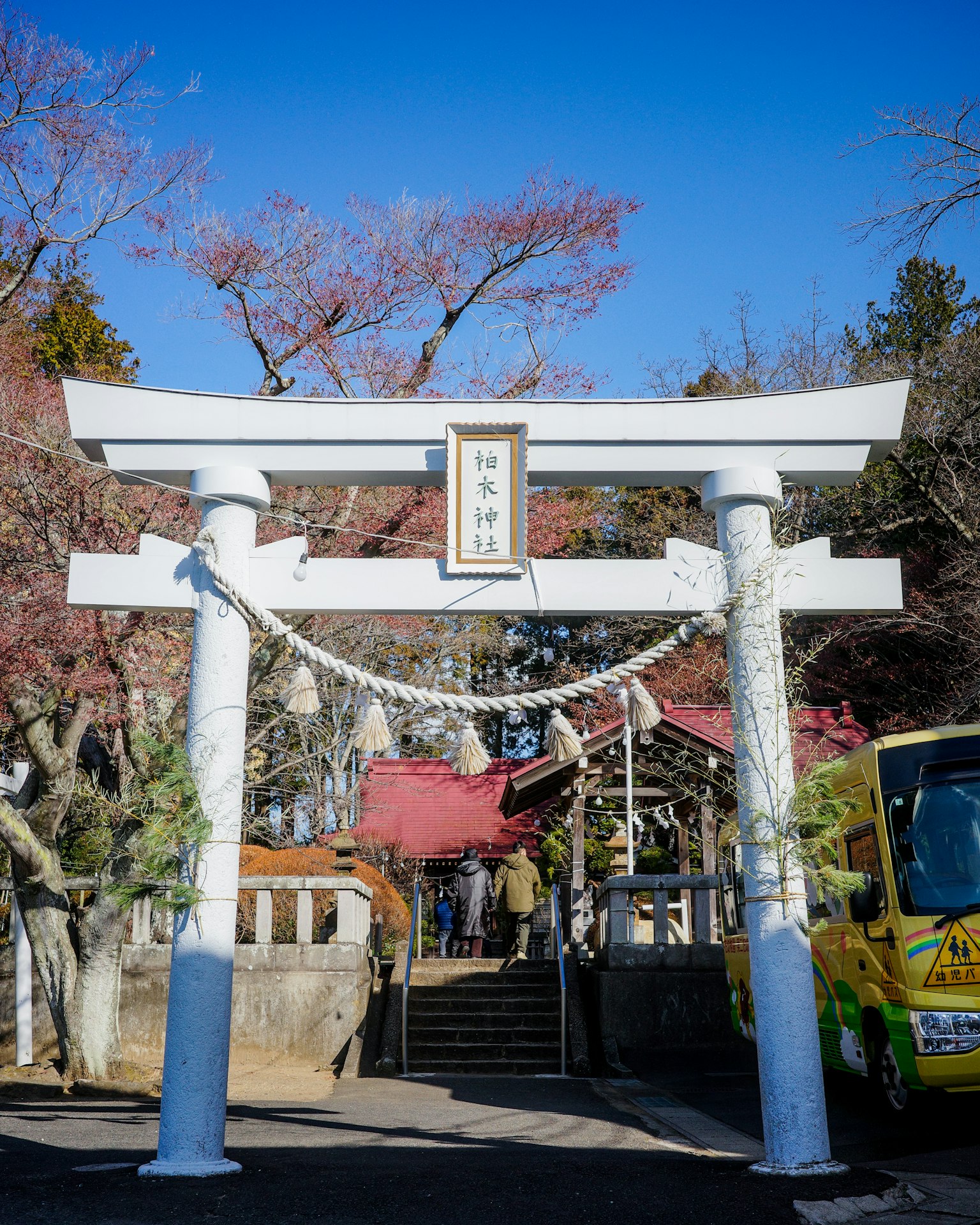 Entrance of a shrine featuring a white torii gate and cherry blossom trees