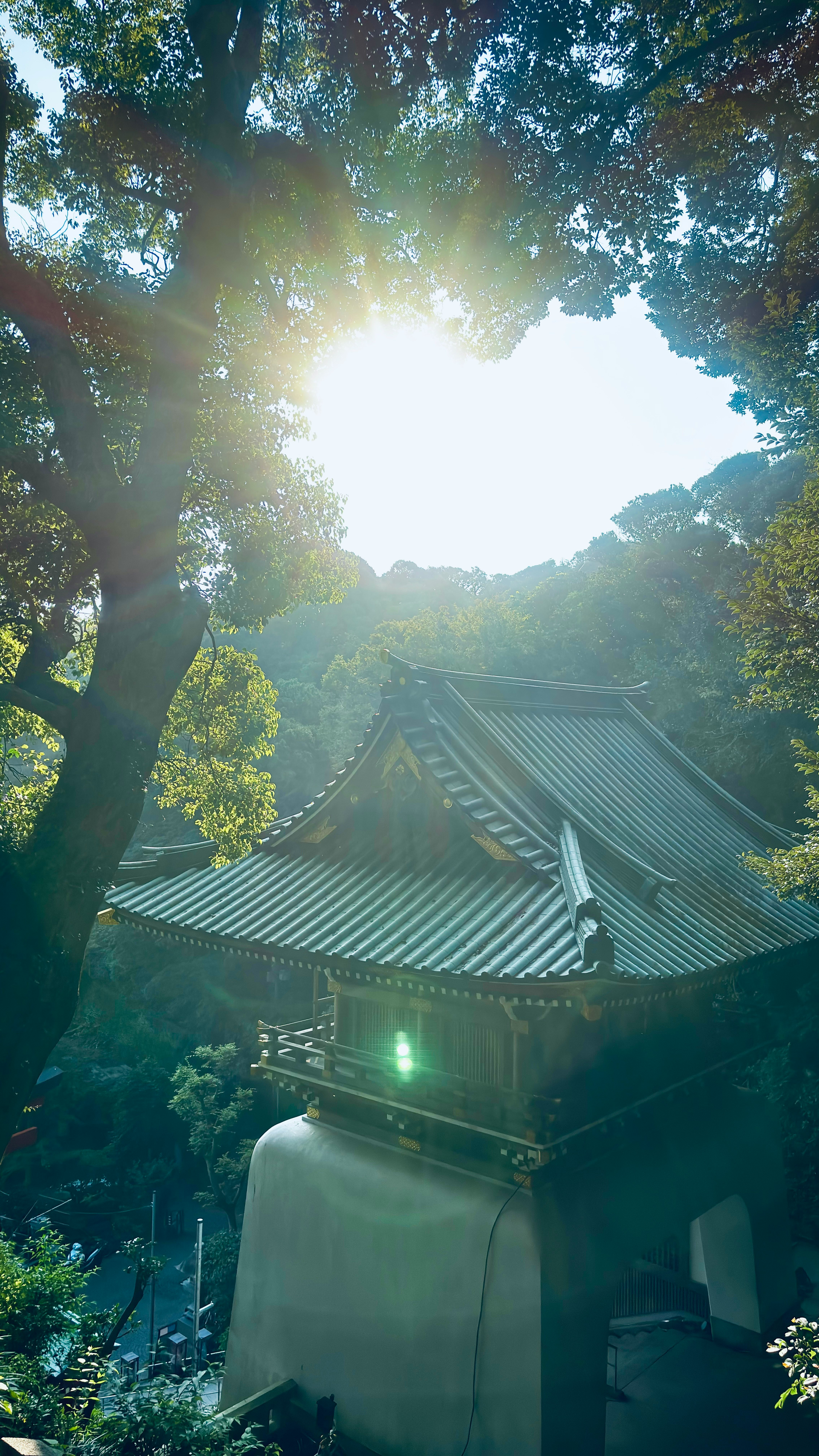 rayos de sol entre árboles sobre el tejado de un templo