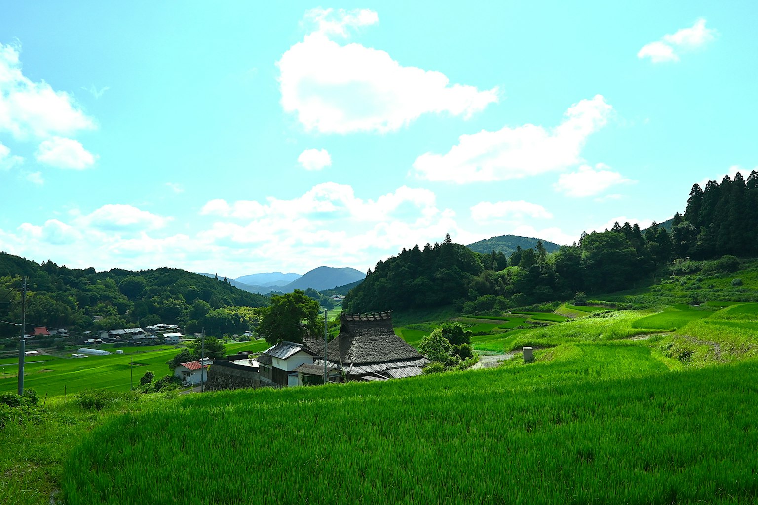 郁郁葱葱的乡村风景和蓝天下的传统房屋
