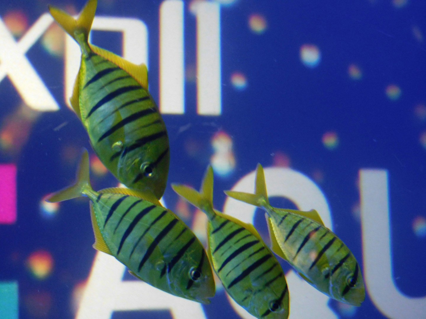 青い背景の中で光る緑の毛虫のような生き物