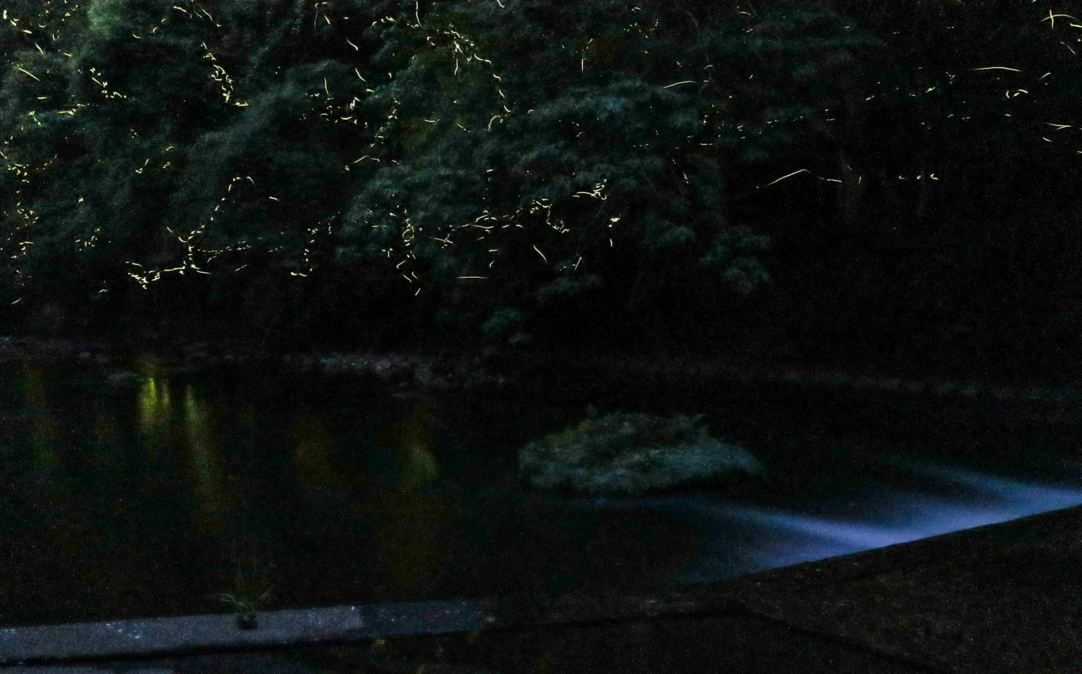 Fond sombre avec surface d'eau illuminée et flux de lumière bleue