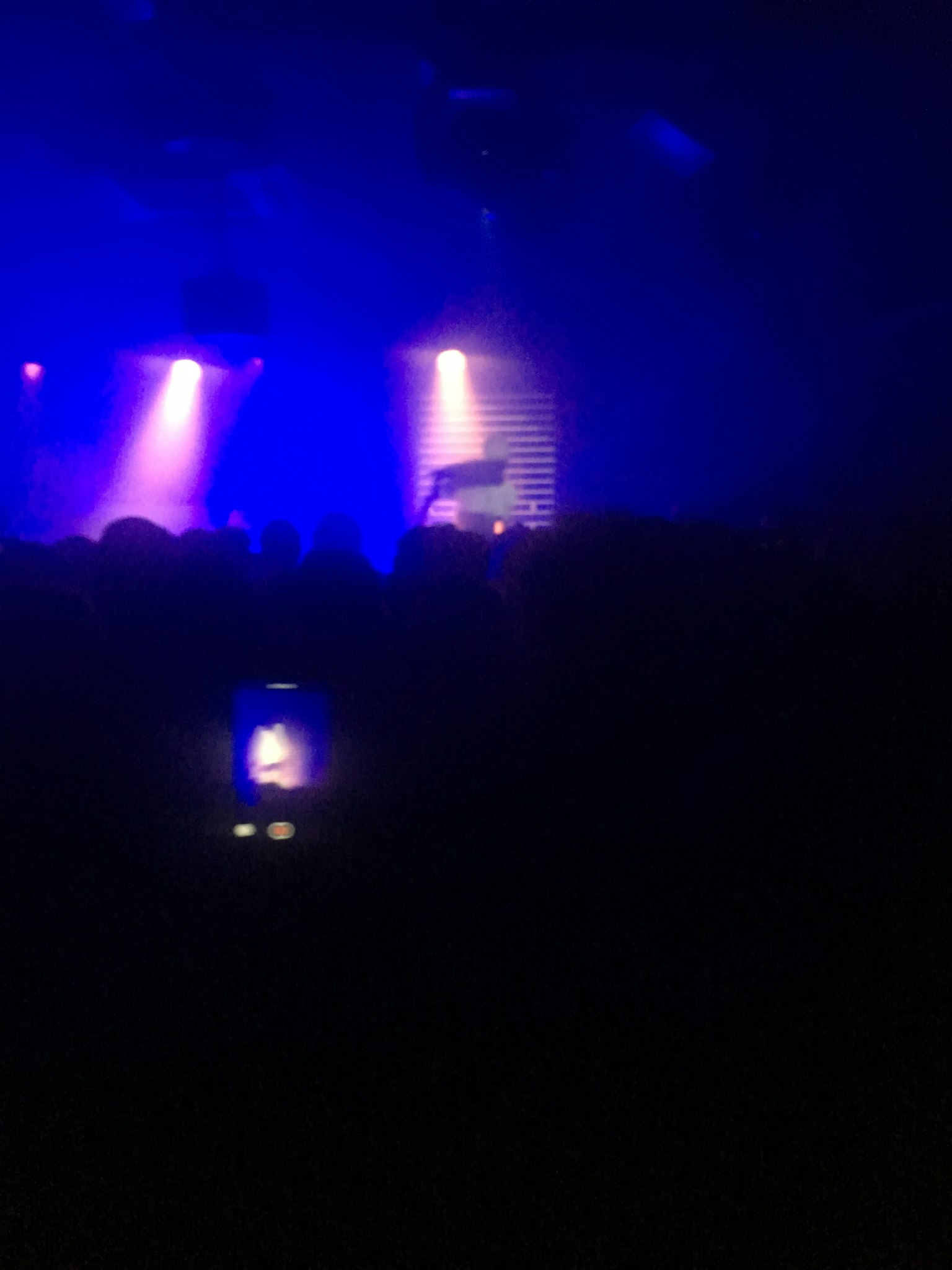 Folla che si diverte a una performance in un club buio con luci blu