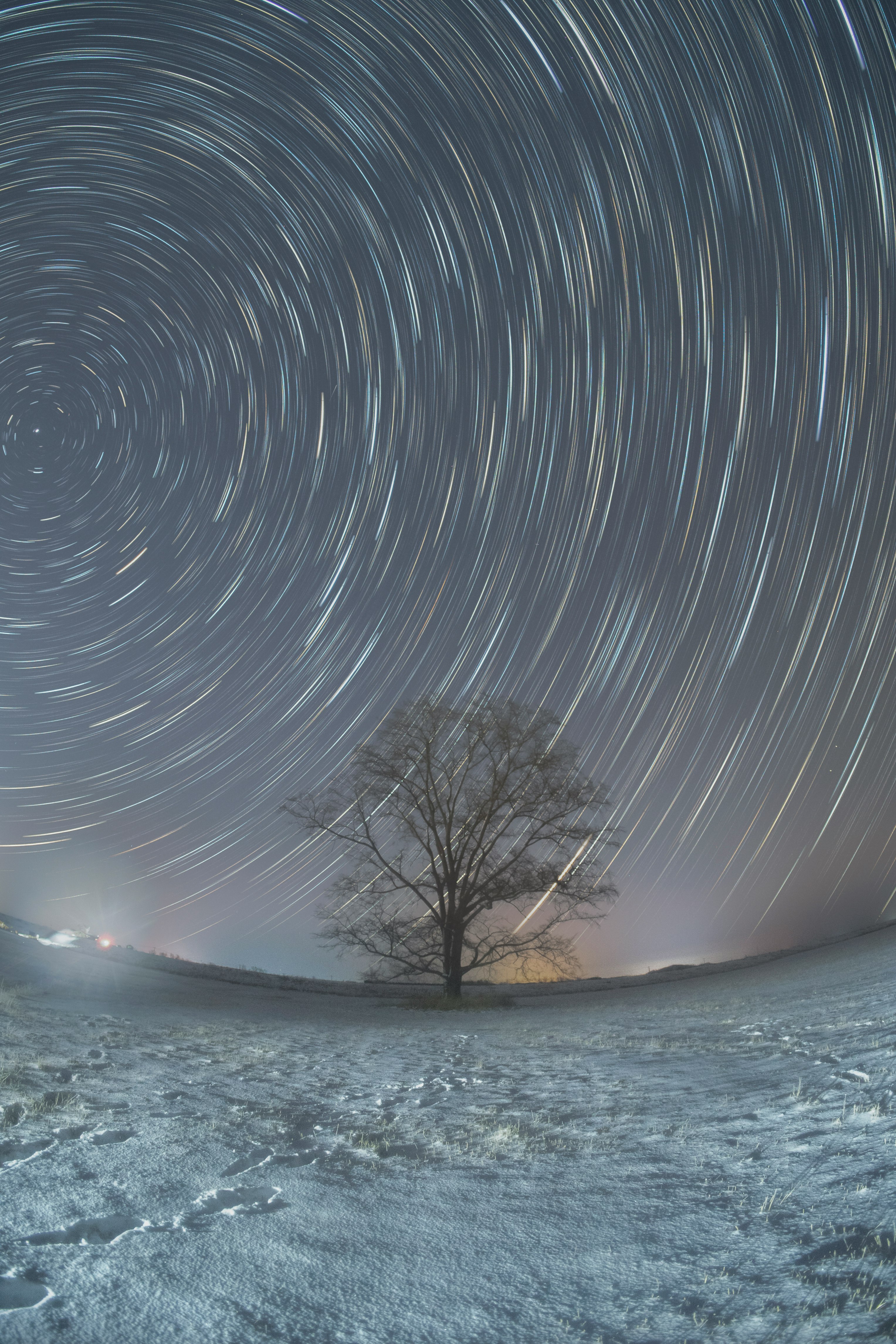 timelapse de traînées d’étoiles tourbillonnantes au-dessus d’un champ enneigé avec un arbre solitaire