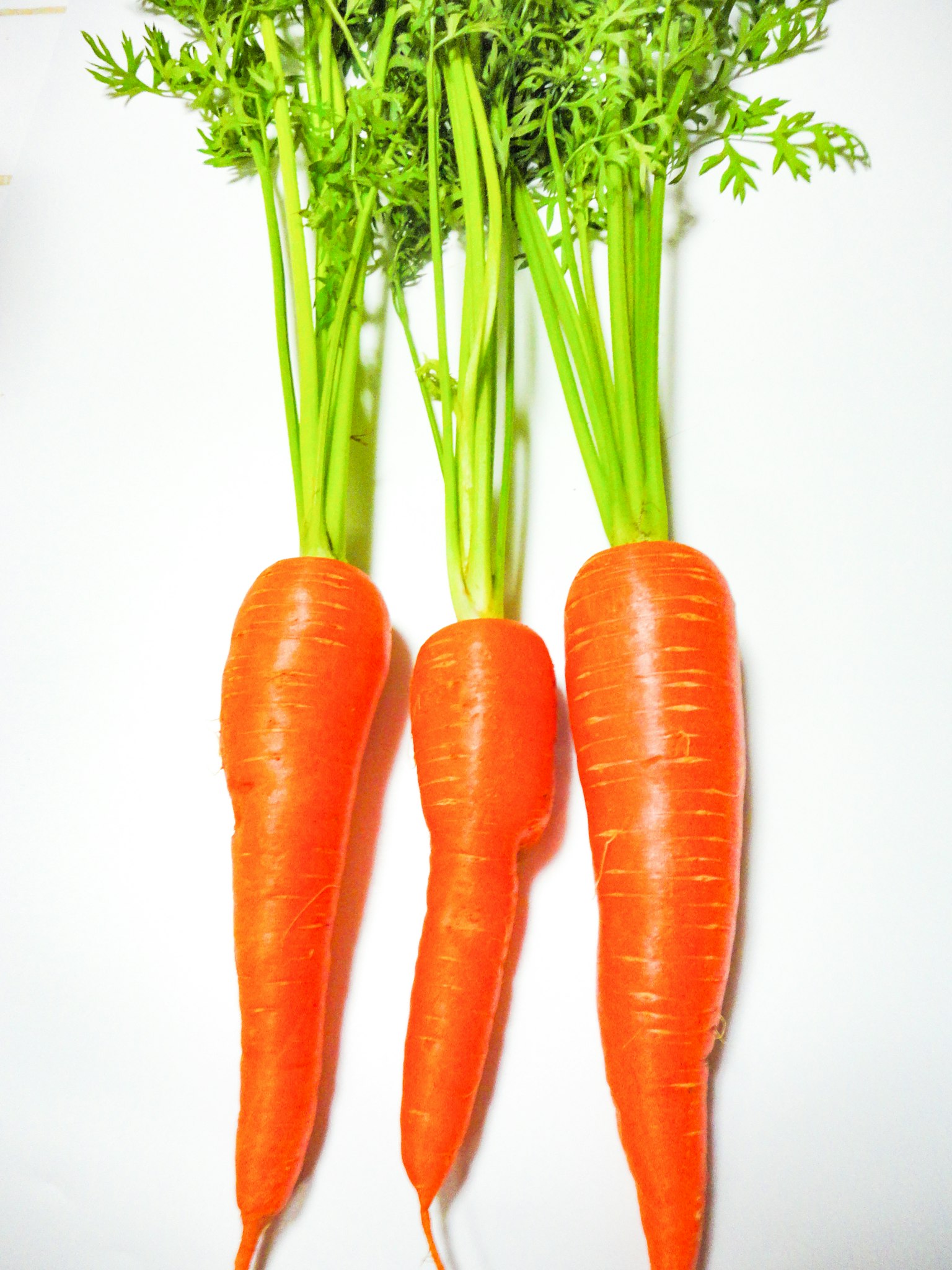 Tres zanahorias naranjas frescas con hojas verdes alineadas