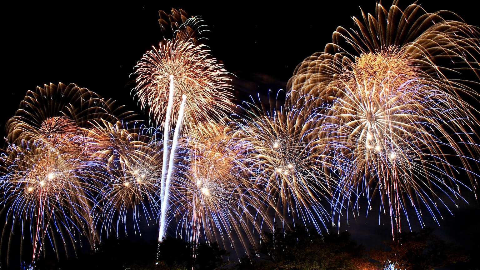Espectáculo de fuegos artificiales coloridos en el cielo nocturno