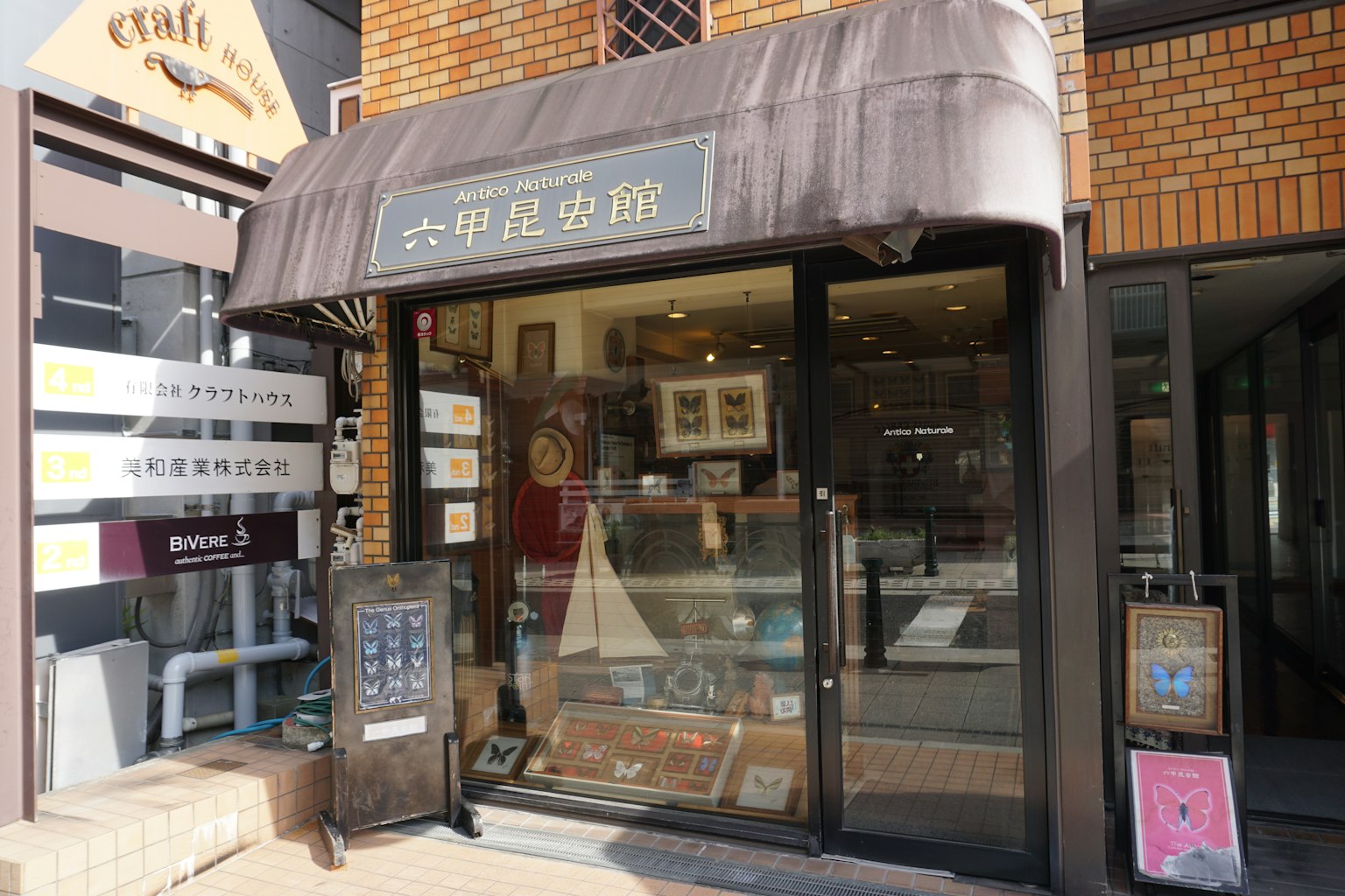 六甲美術館外觀與玻璃展示窗