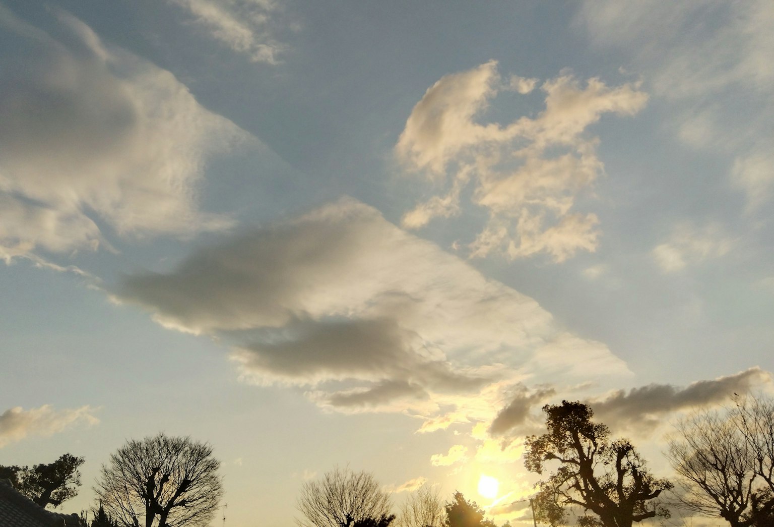 Schöner Sonnenuntergangshimmel mit Wolken und Baum-Silhouetten