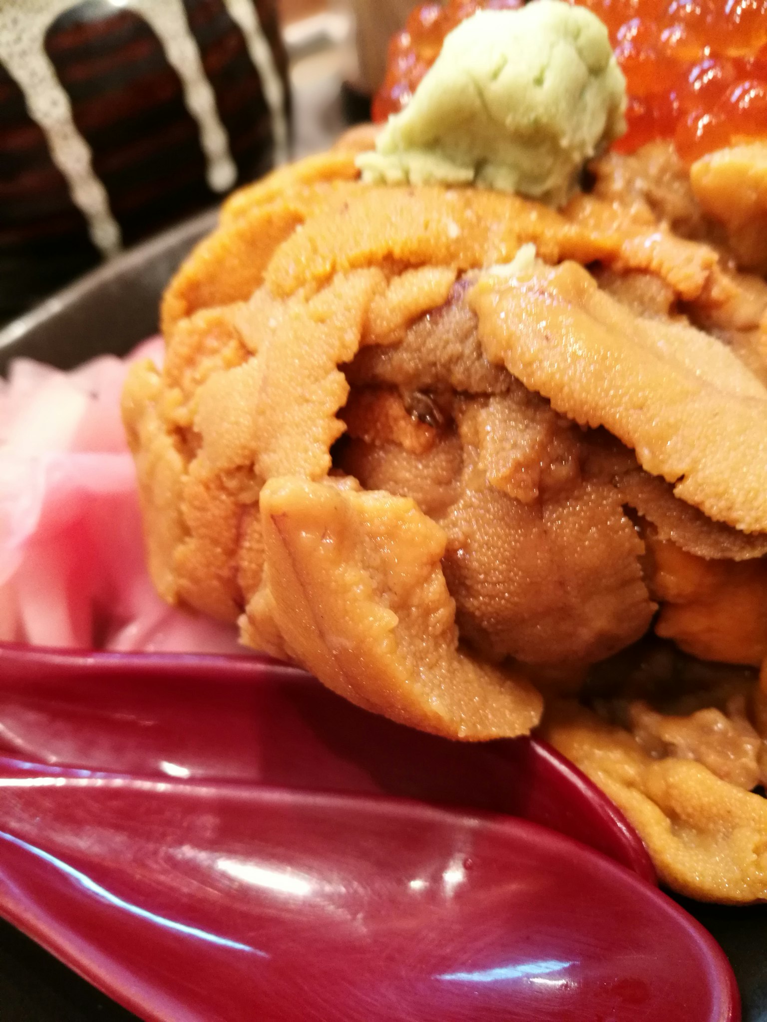 Hidangan lezat dengan bulu babi, jahe, dan wasabi