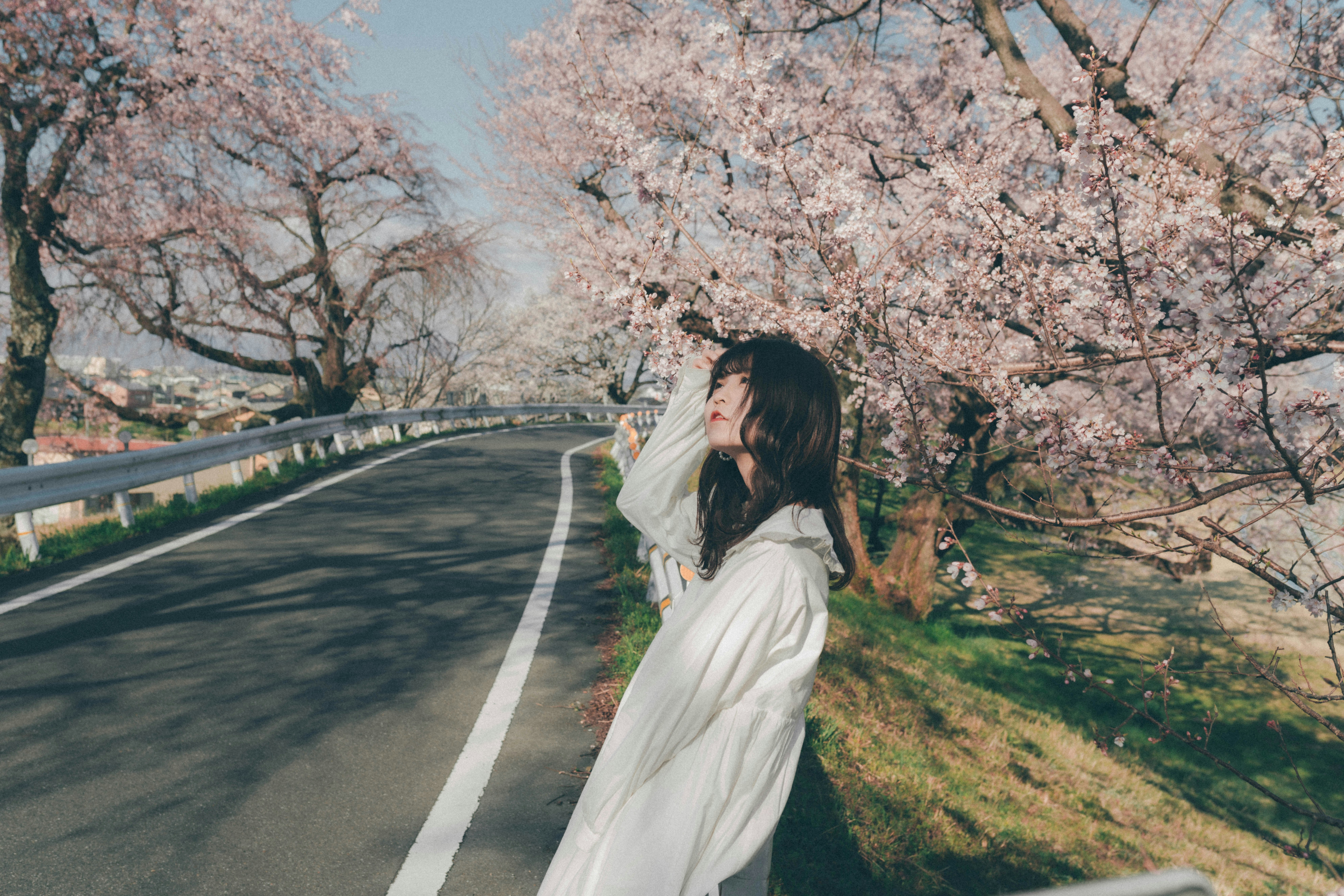 桜並木の続く田舎道を歩く女性