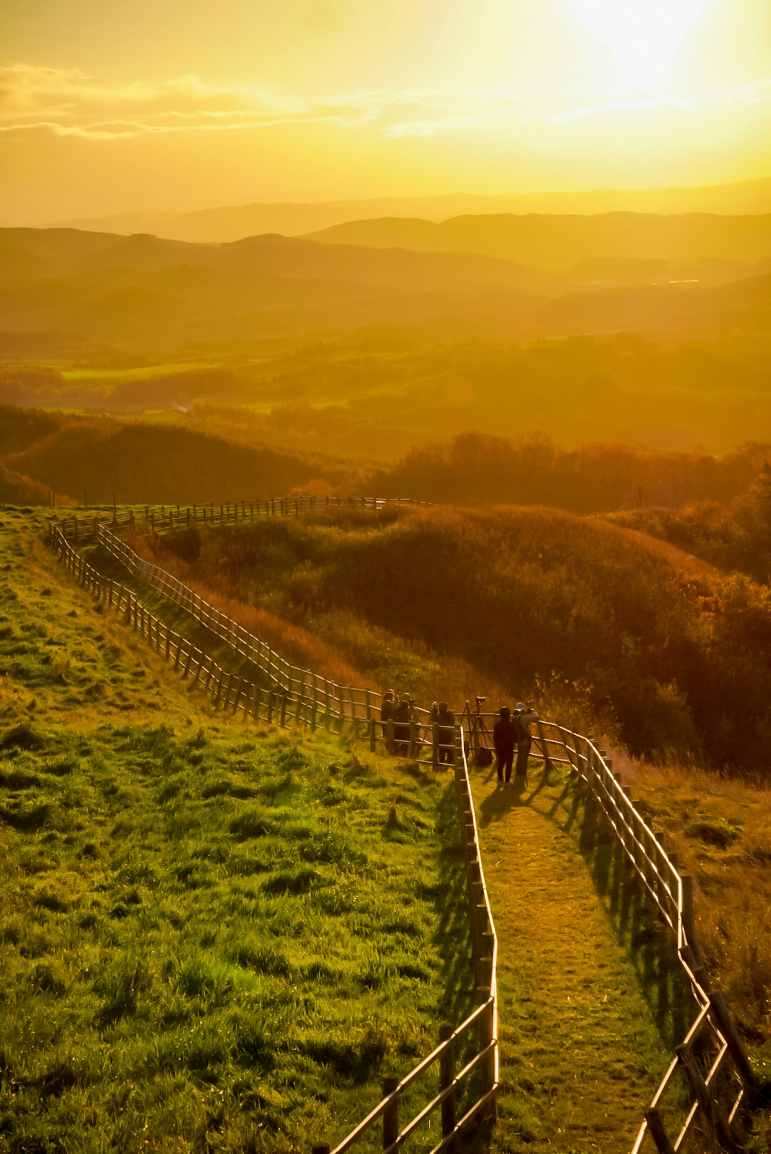 Sentier pittoresque sur la colline avec de l'herbe verte sous un coucher de soleil doré