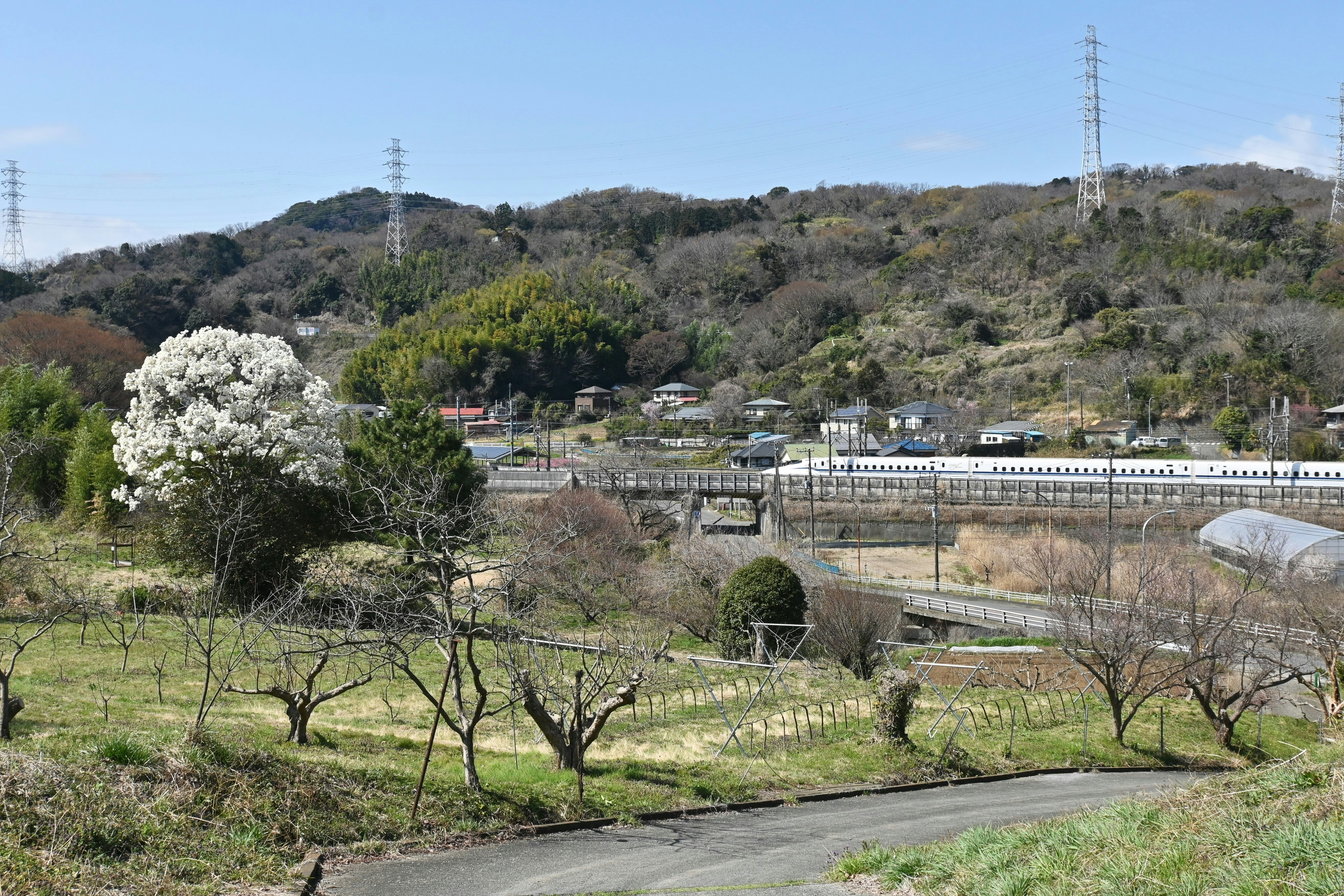丘陵の畑と白い花、遠くに温室のある風景